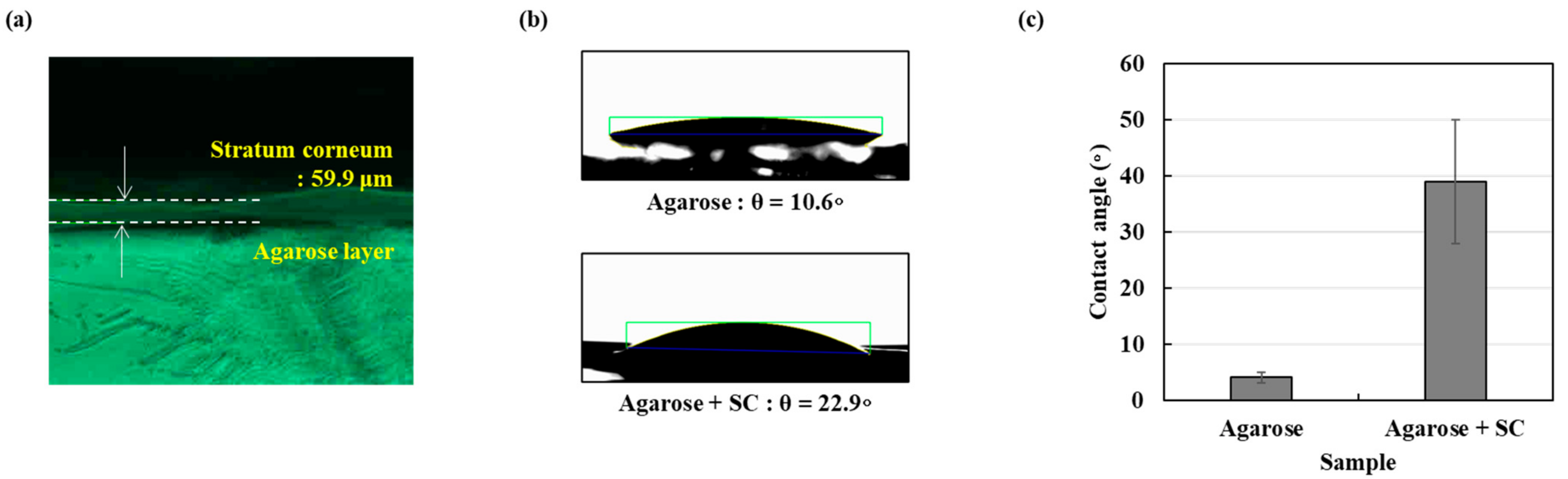 Applsci 11 07958 g005