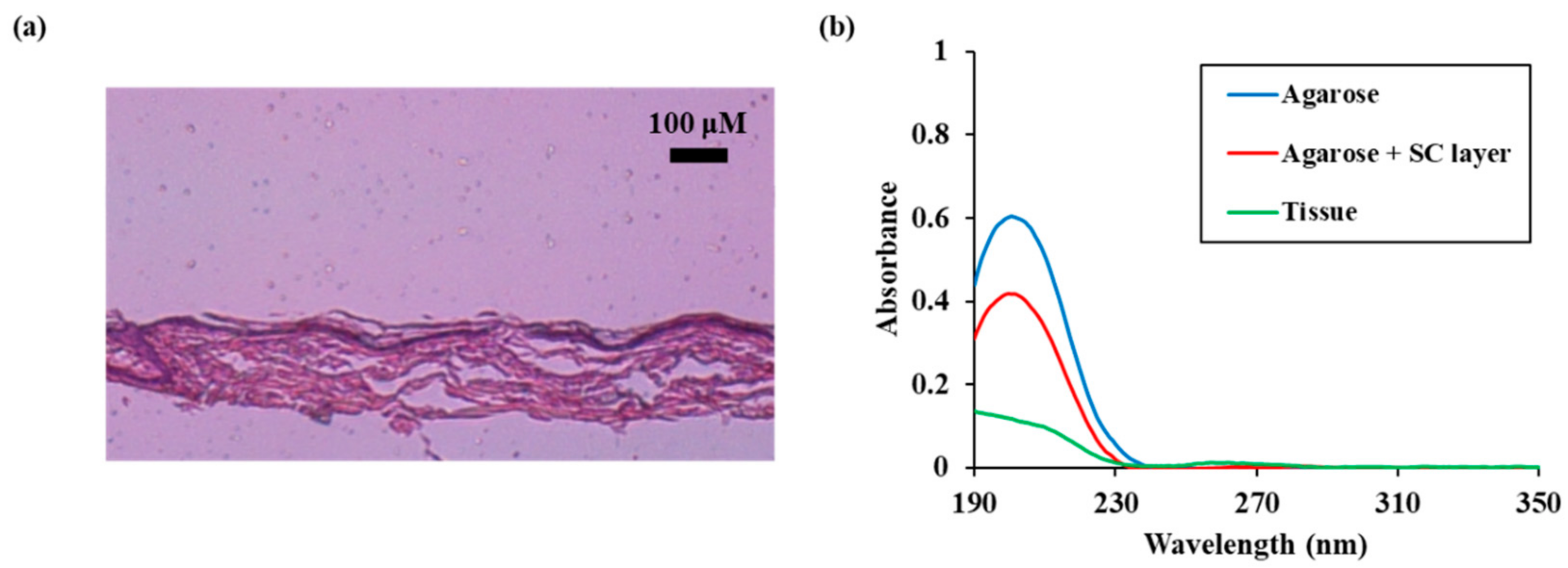 Applsci 11 07958 g007