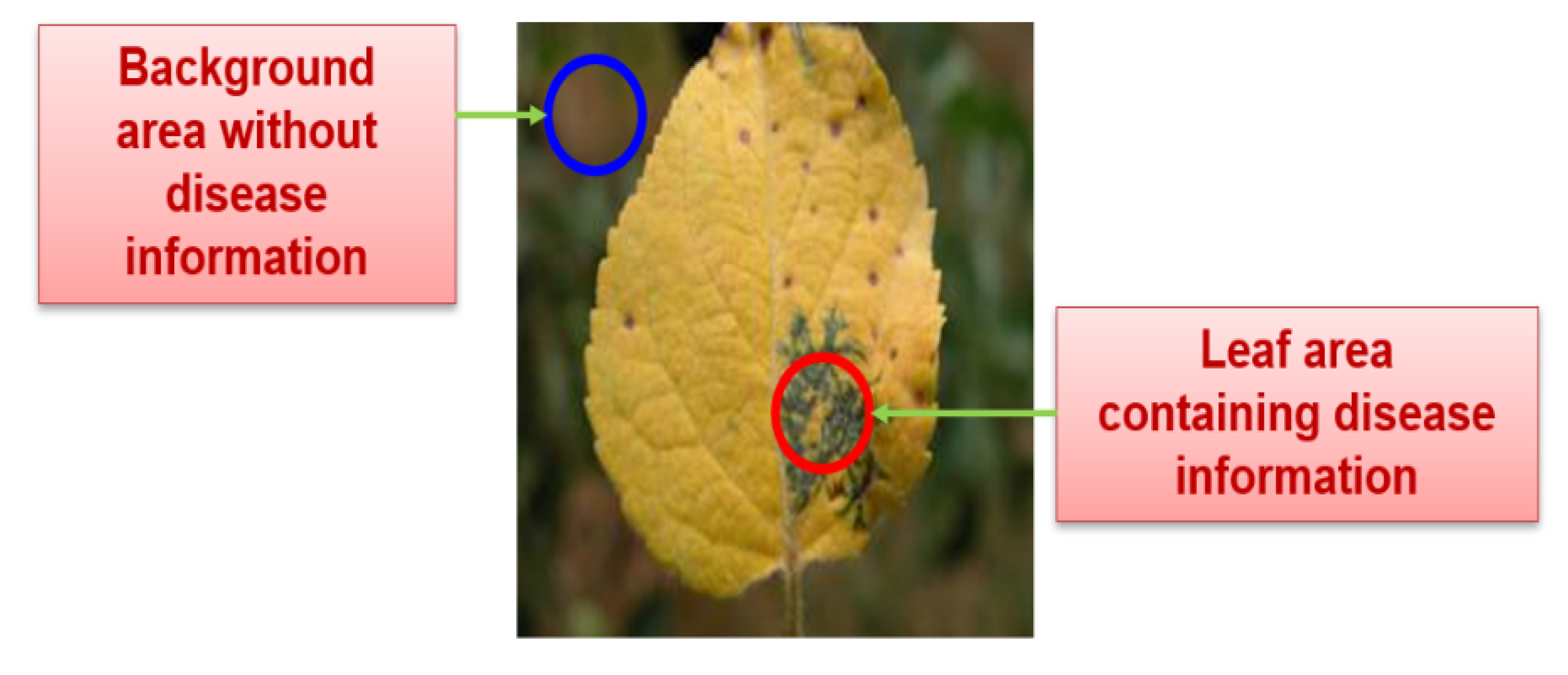 Applsci 11 07960 g001