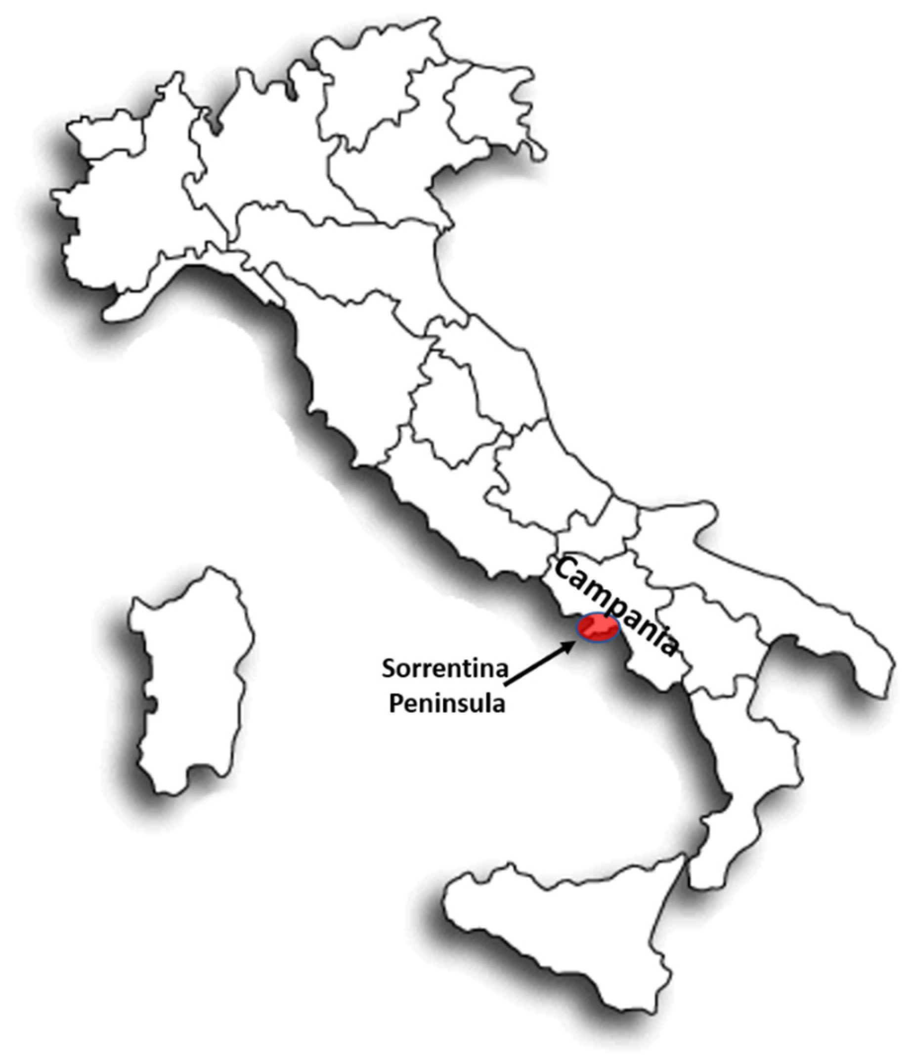 Applsci 11 07975 g001