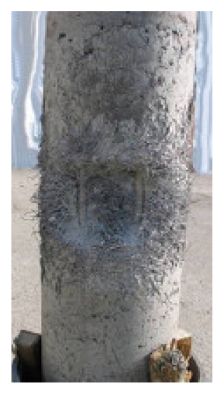 Applsci 11 07980 i007