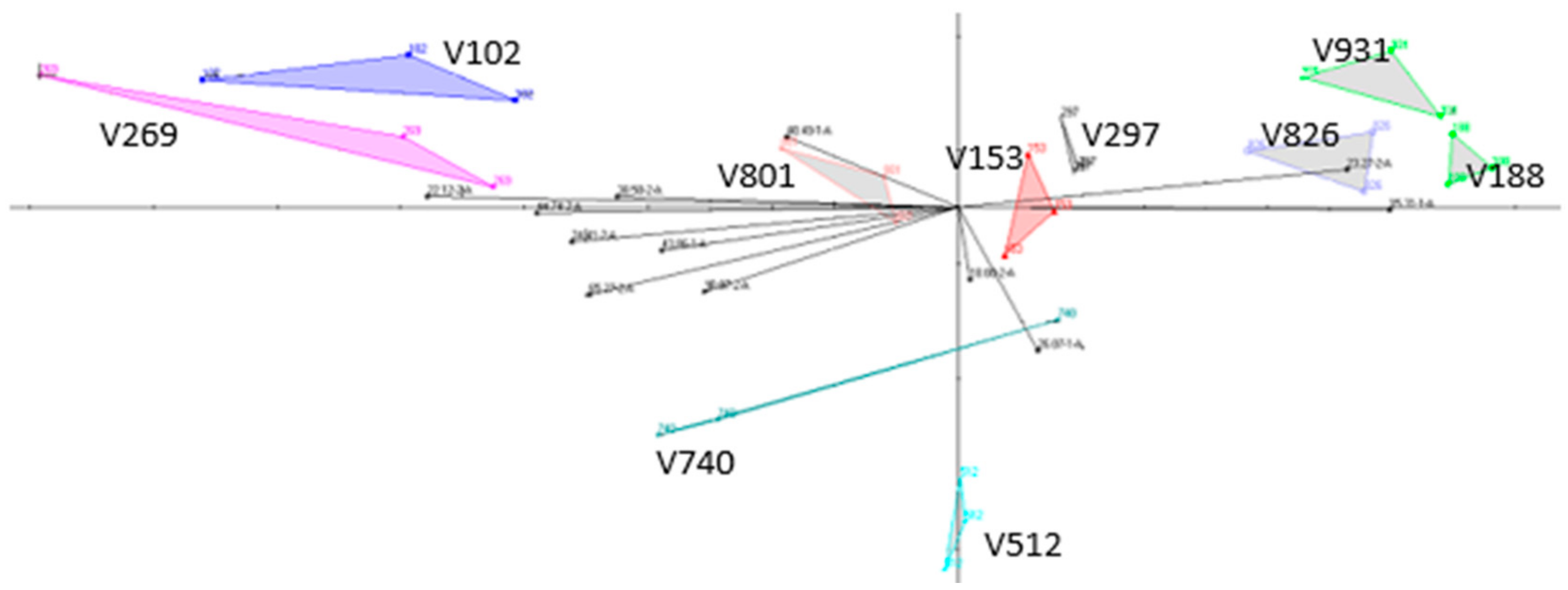 Applsci 11 08012 g001