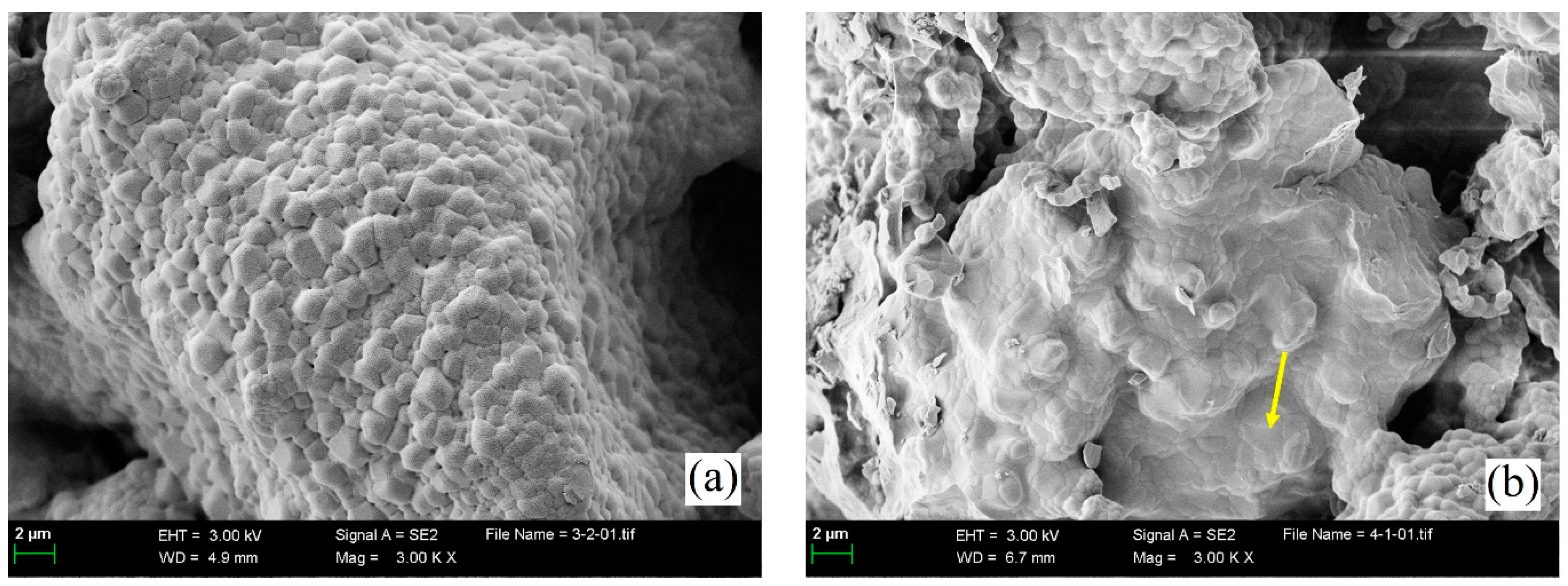 Applsci 11 08015 g007a