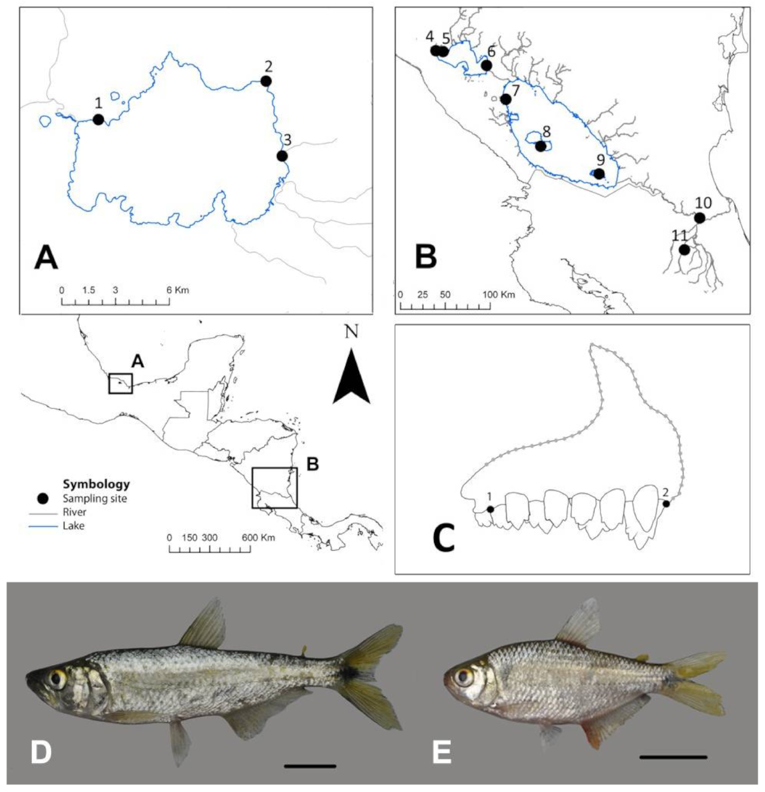Applsci 11 08020 g001 Applsci 11 08020 g001