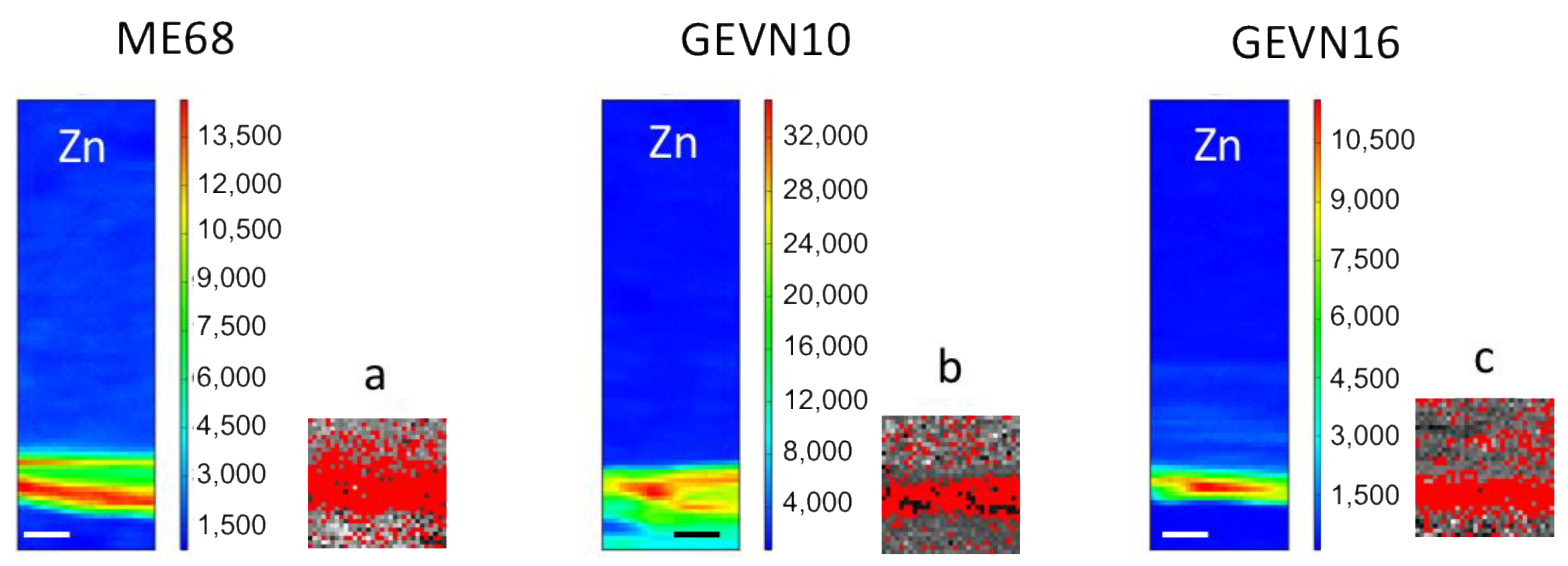 Applsci 11 08052 g005 Applsci 11 08052 g005