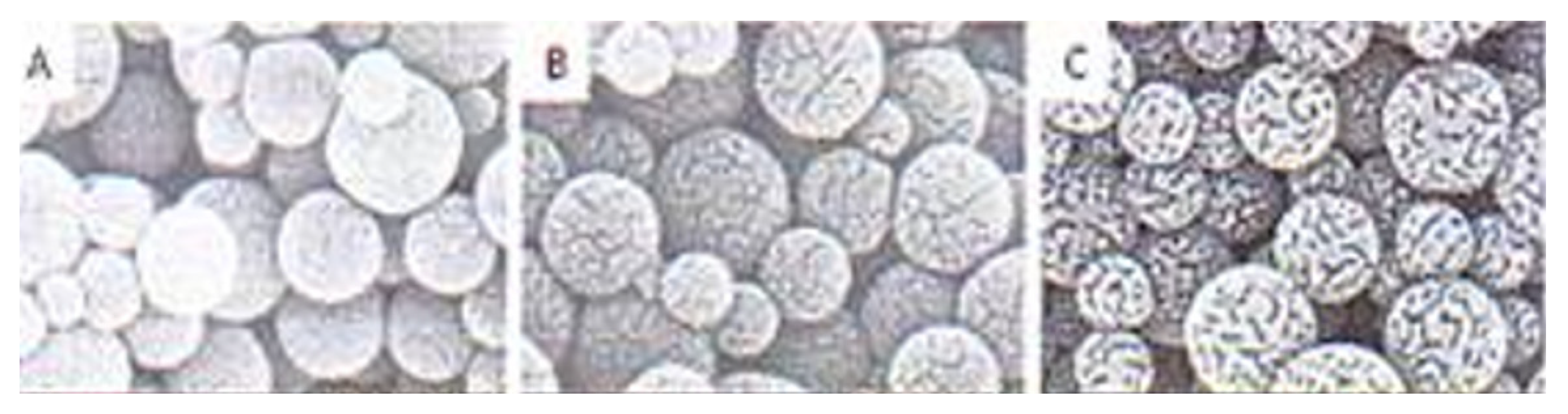 Applsci 11 08063 g011 Applsci 11 08063 g011