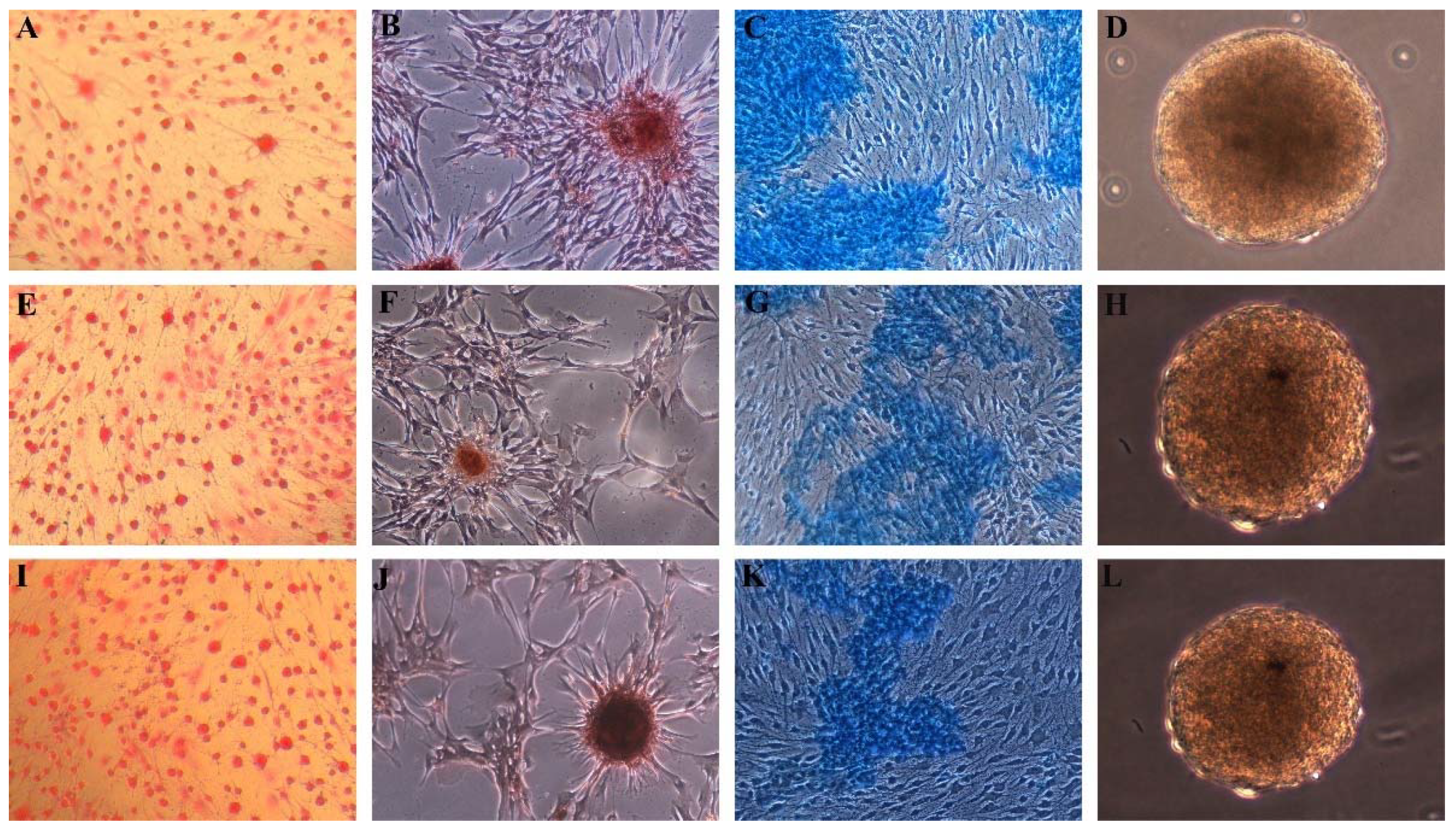 Applsci 11 08101 g001