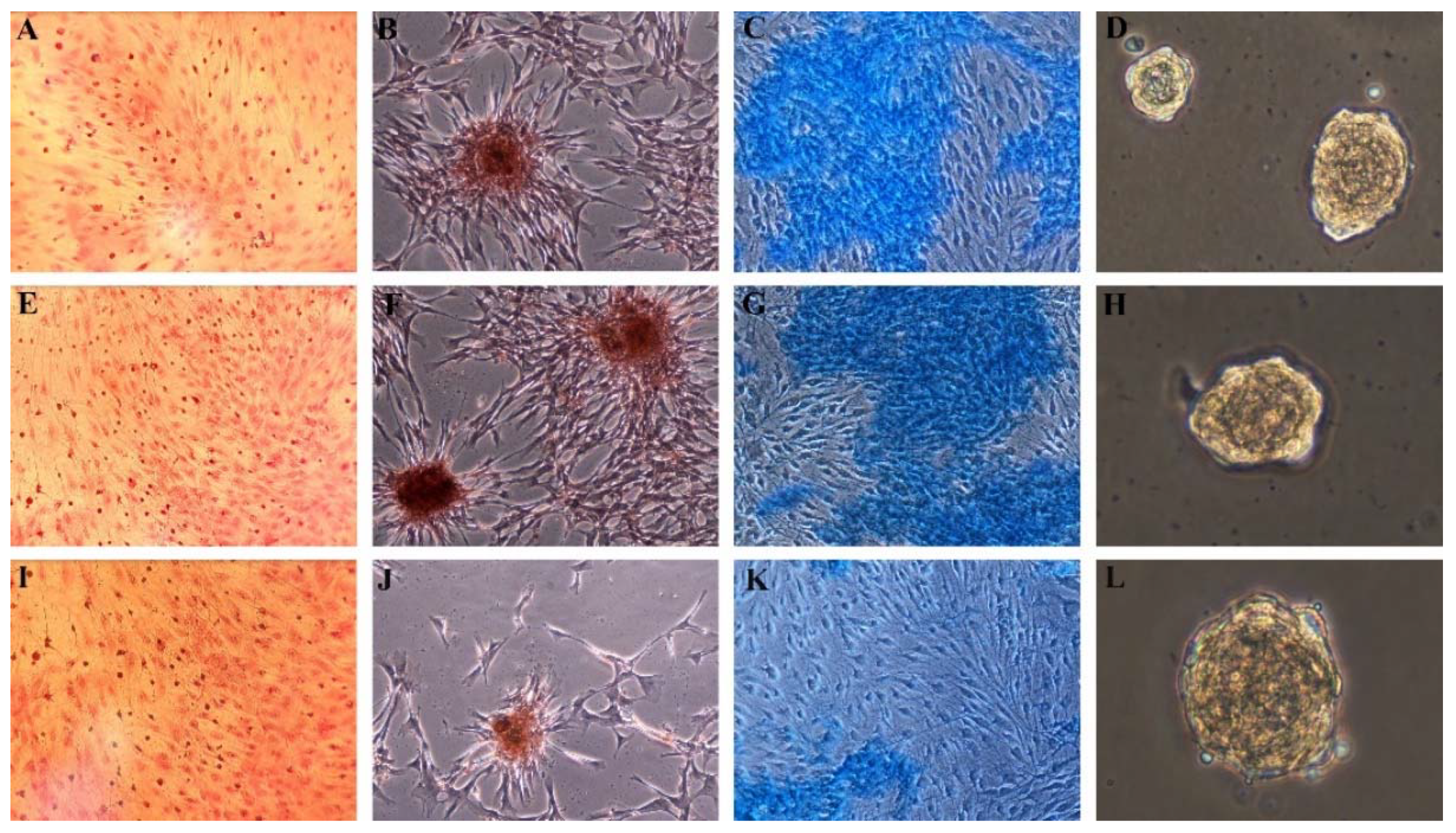 Applsci 11 08101 g002