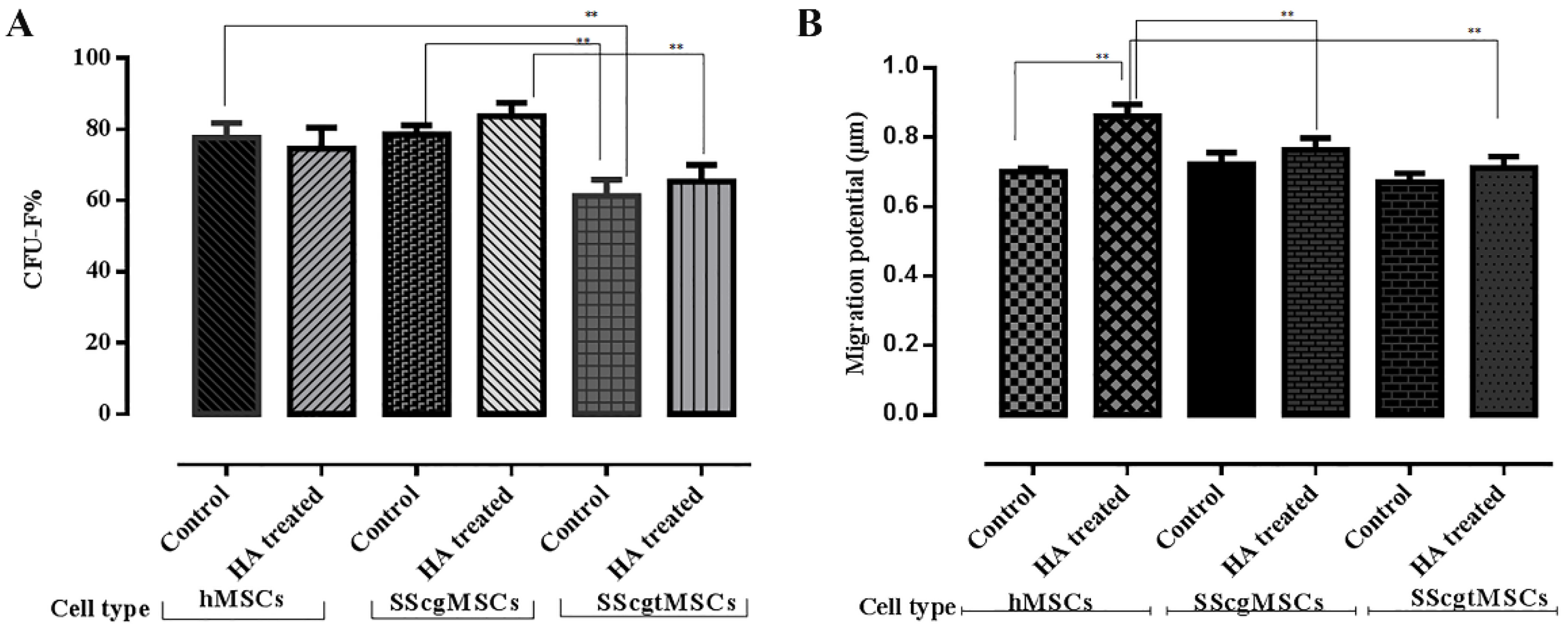 Applsci 11 08101 g003