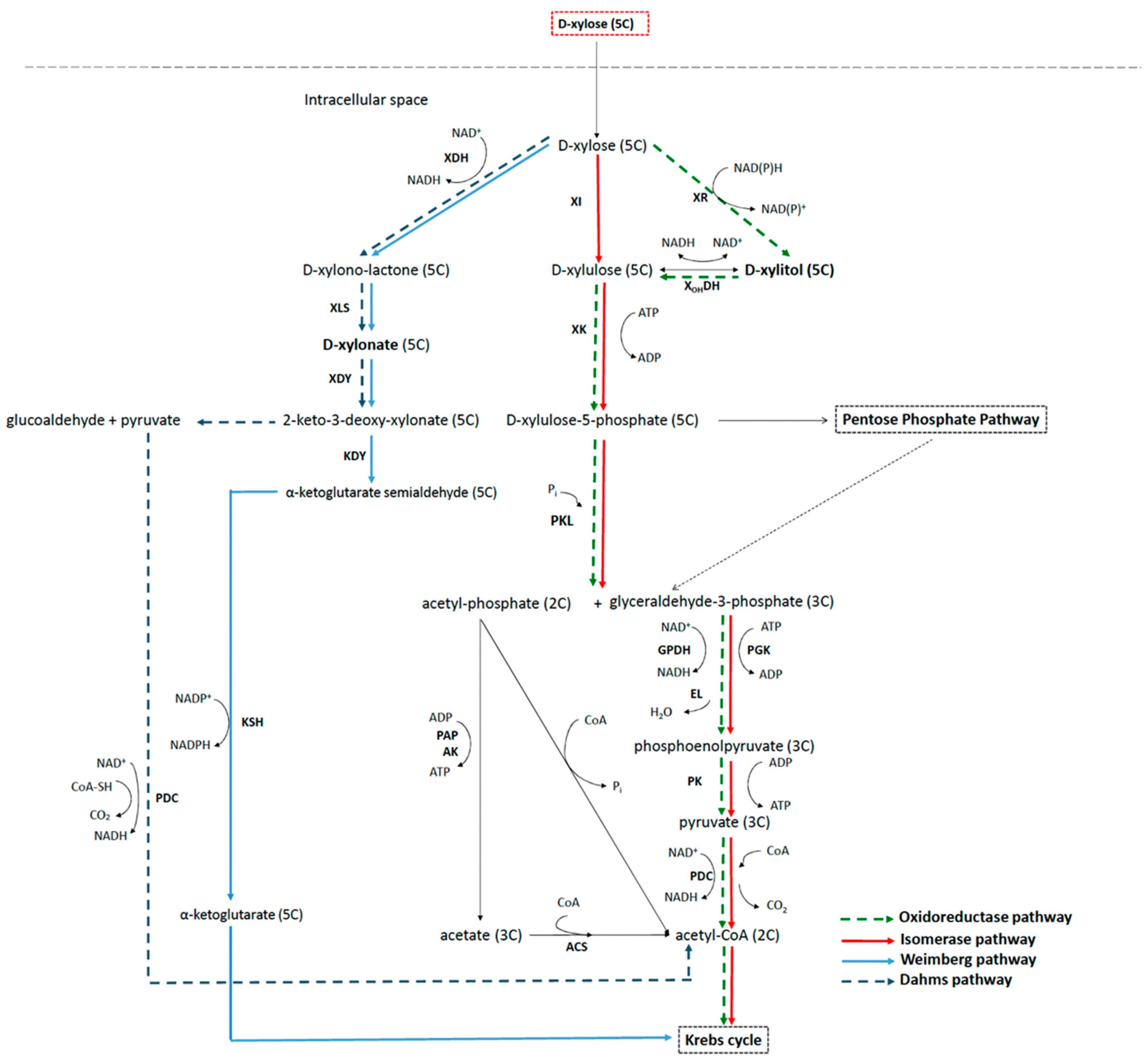 Applsci 11 08112 g001