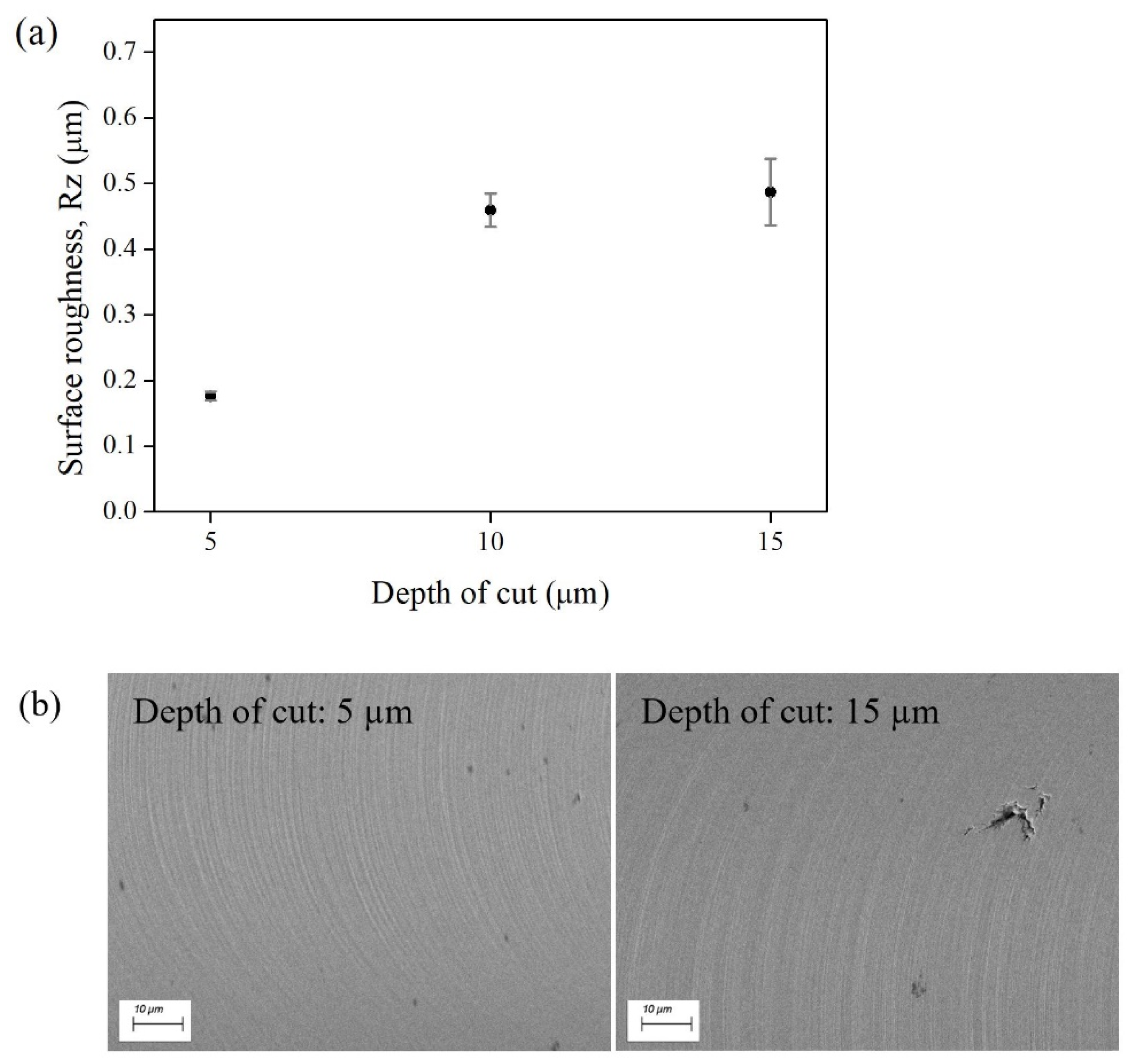 Applsci 11 08119 g011