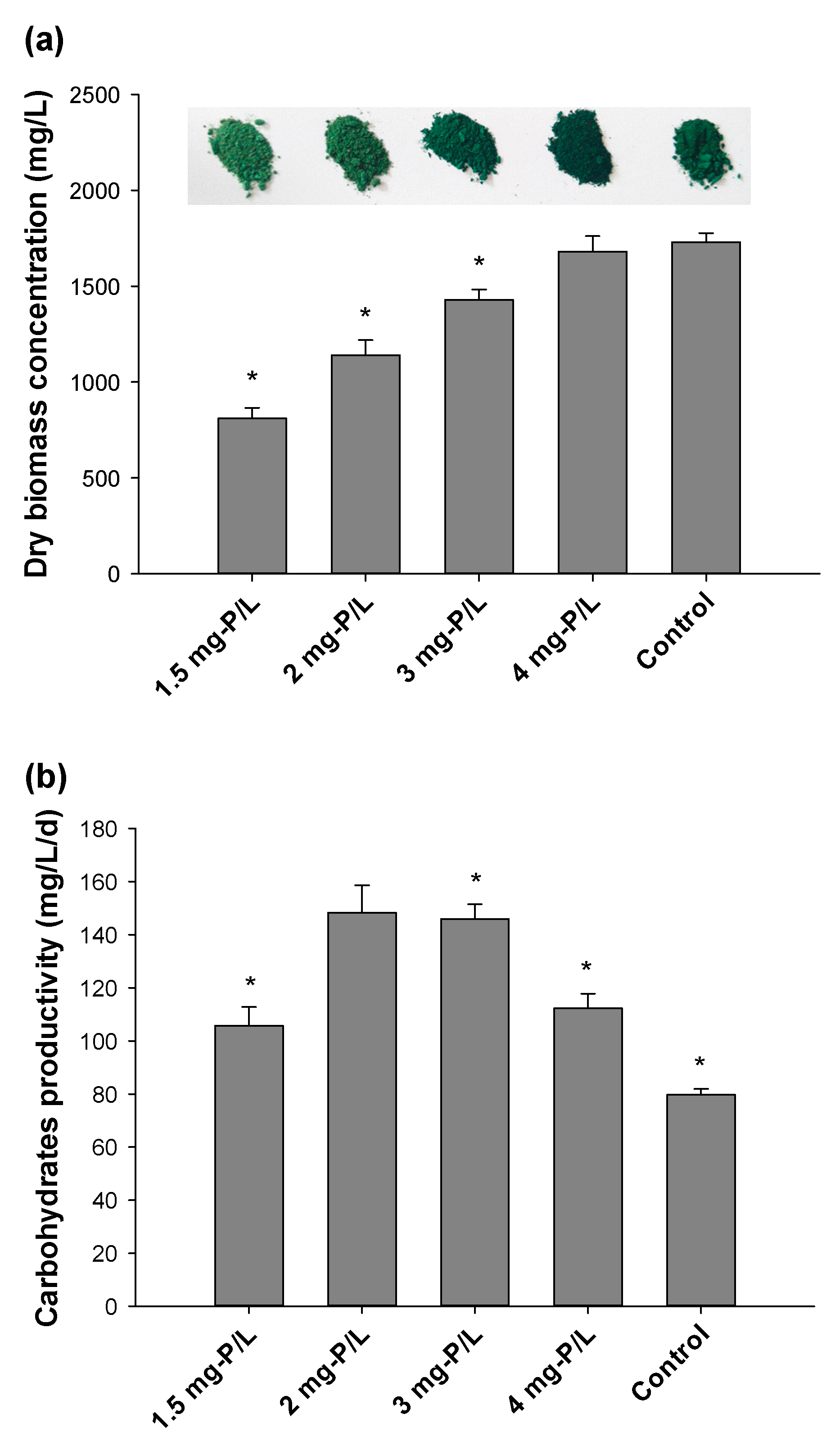 Applsci 11 08121 g001