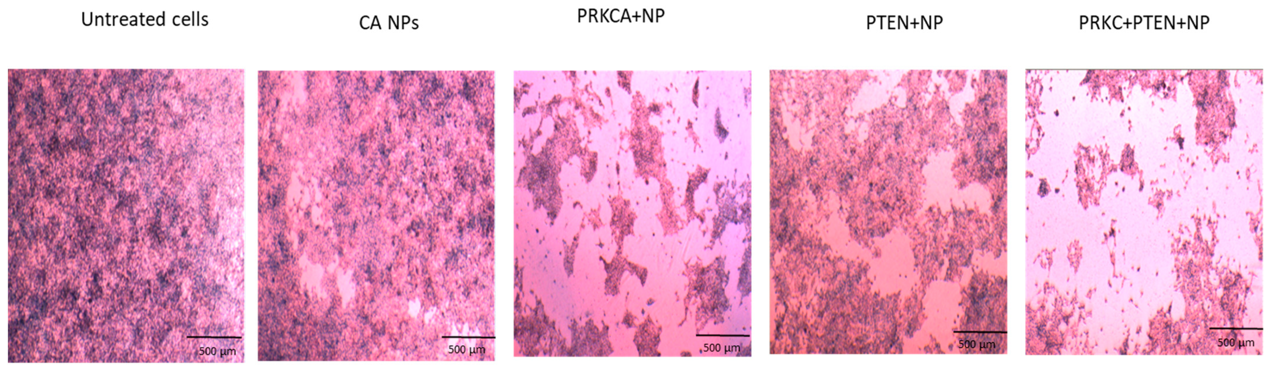 Applsci 11 08133 g002