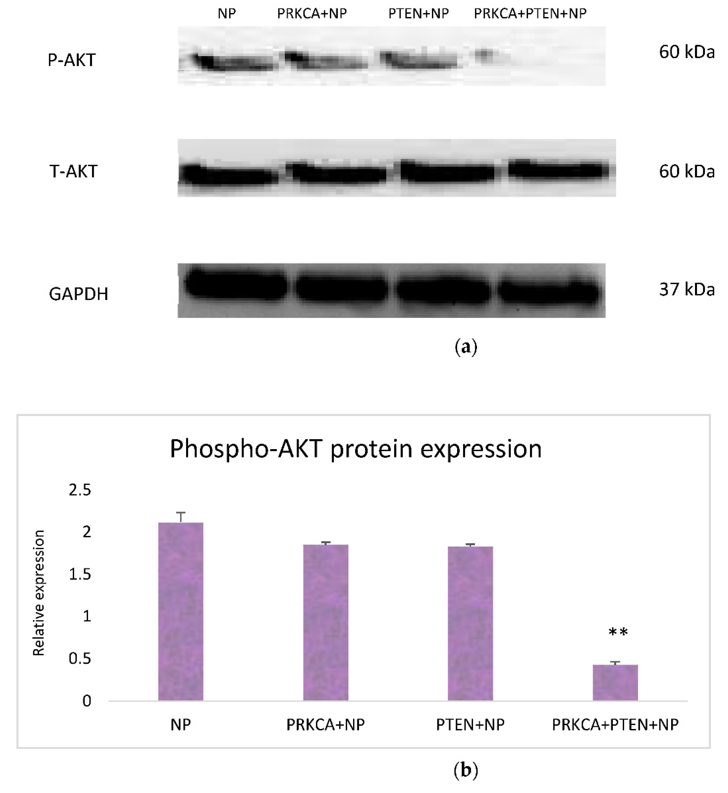 Applsci 11 08133 g004