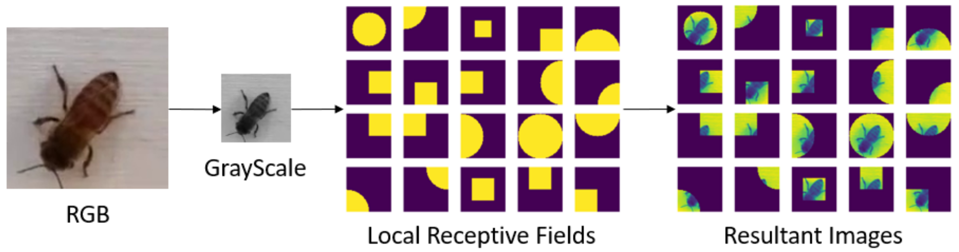 Applsci 11 08141 g001