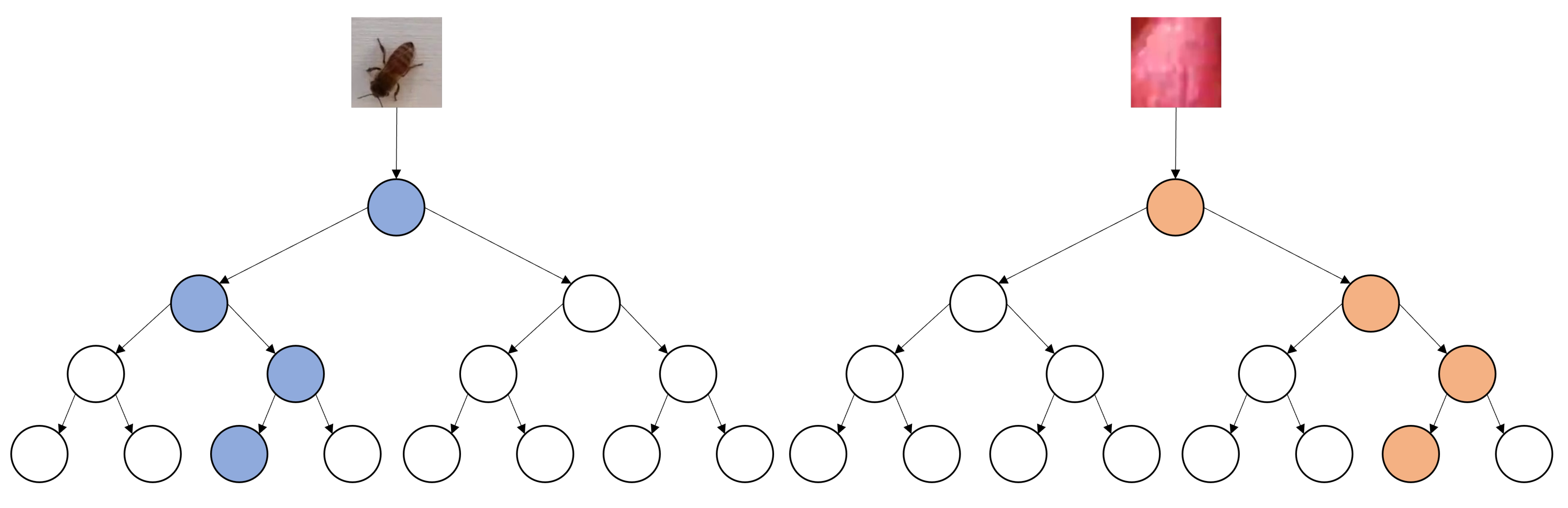 Applsci 11 08141 g004