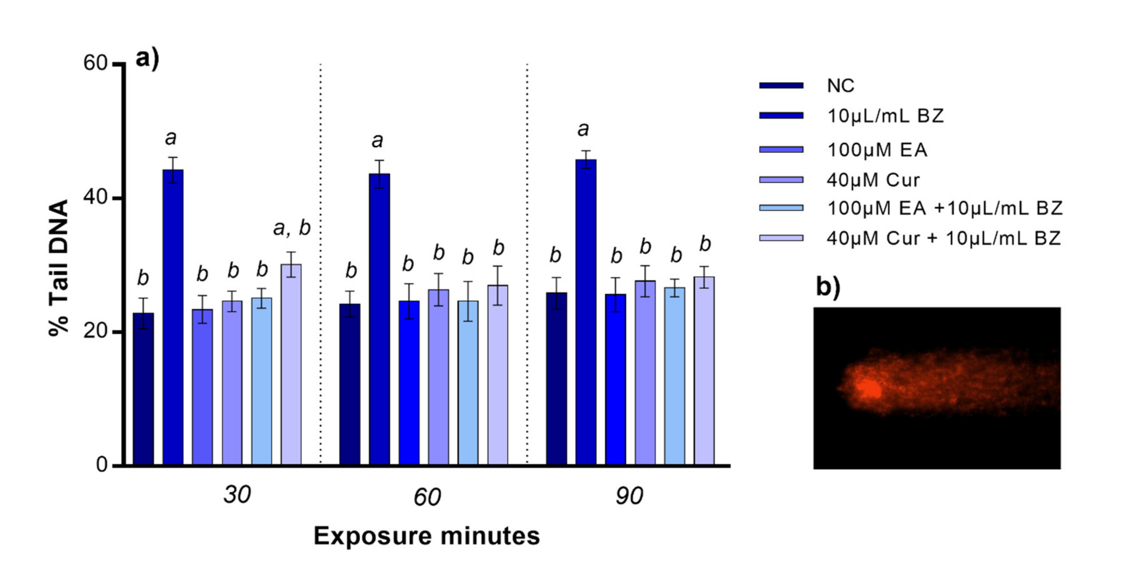 Applsci 11 08142 g002