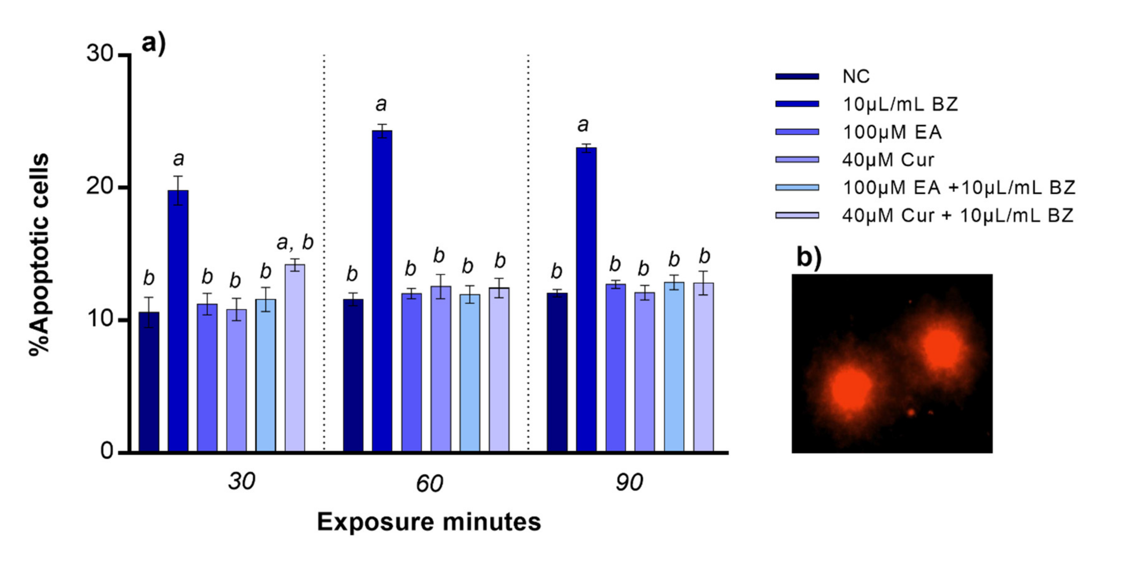 Applsci 11 08142 g003