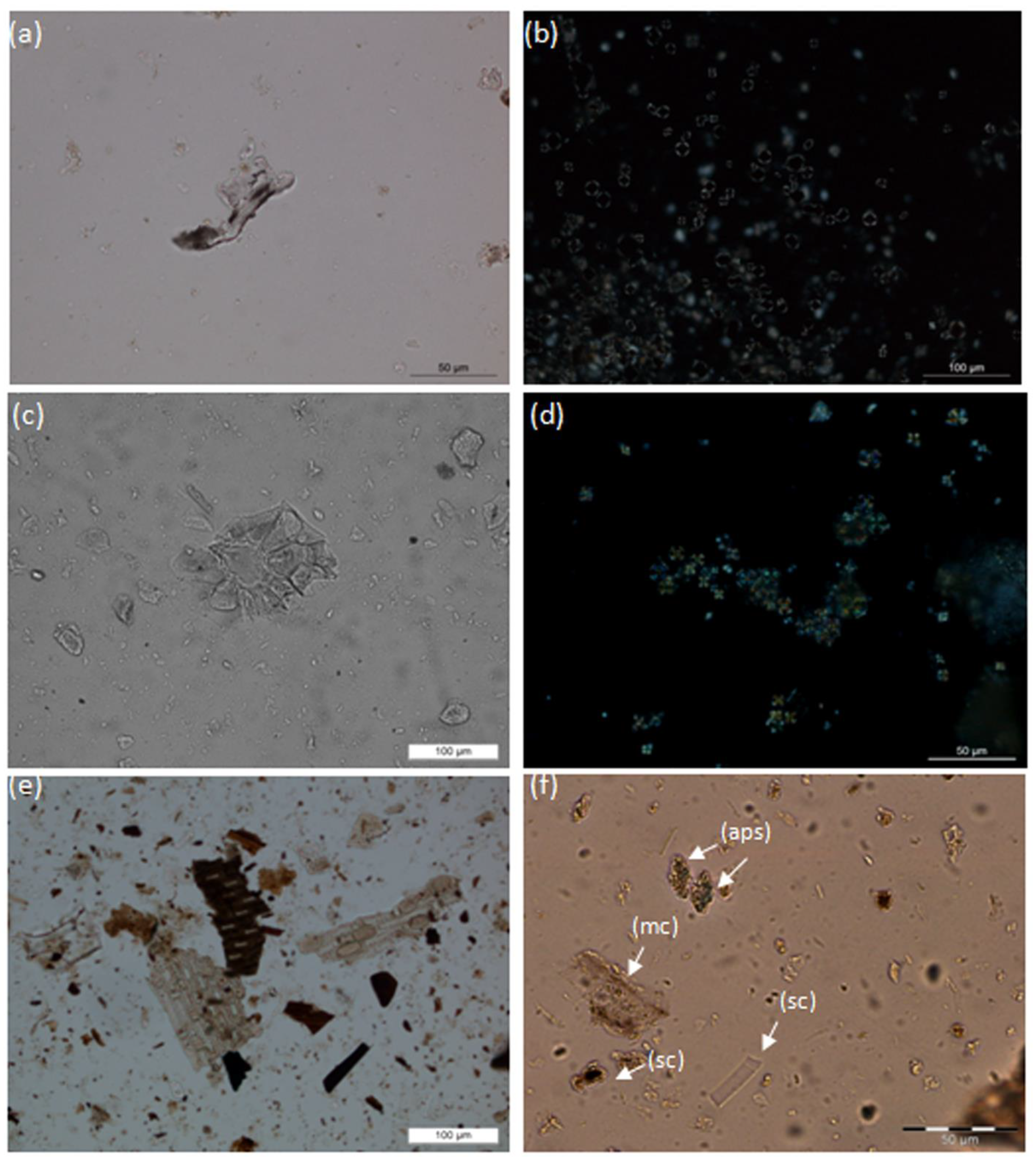 Applsci 11 08143 g003