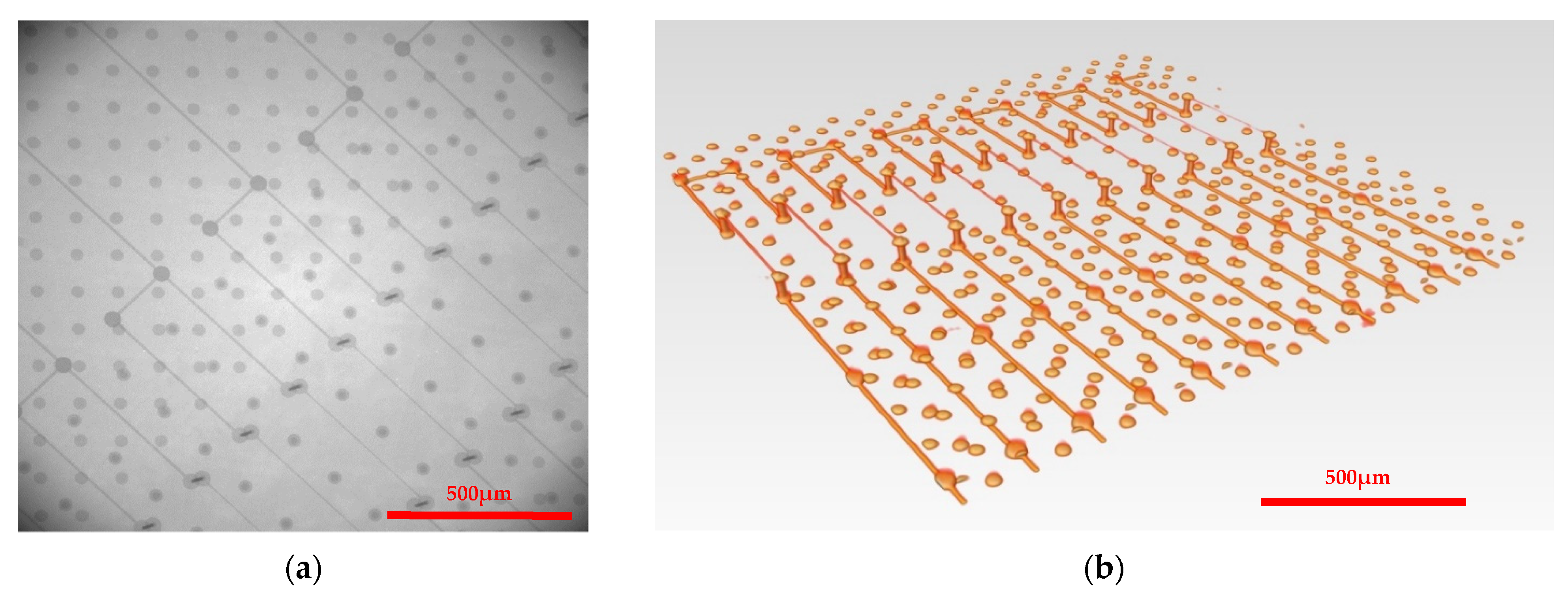 Applsci 11 08148 g011