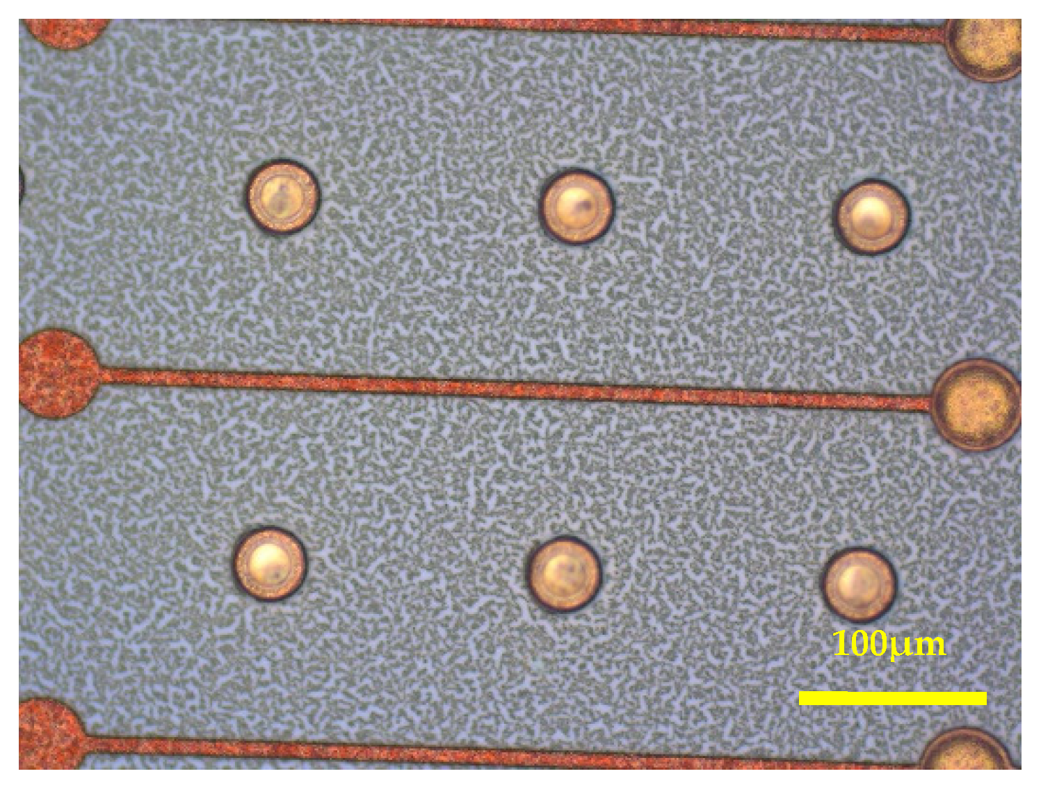 Applsci 11 08148 g015