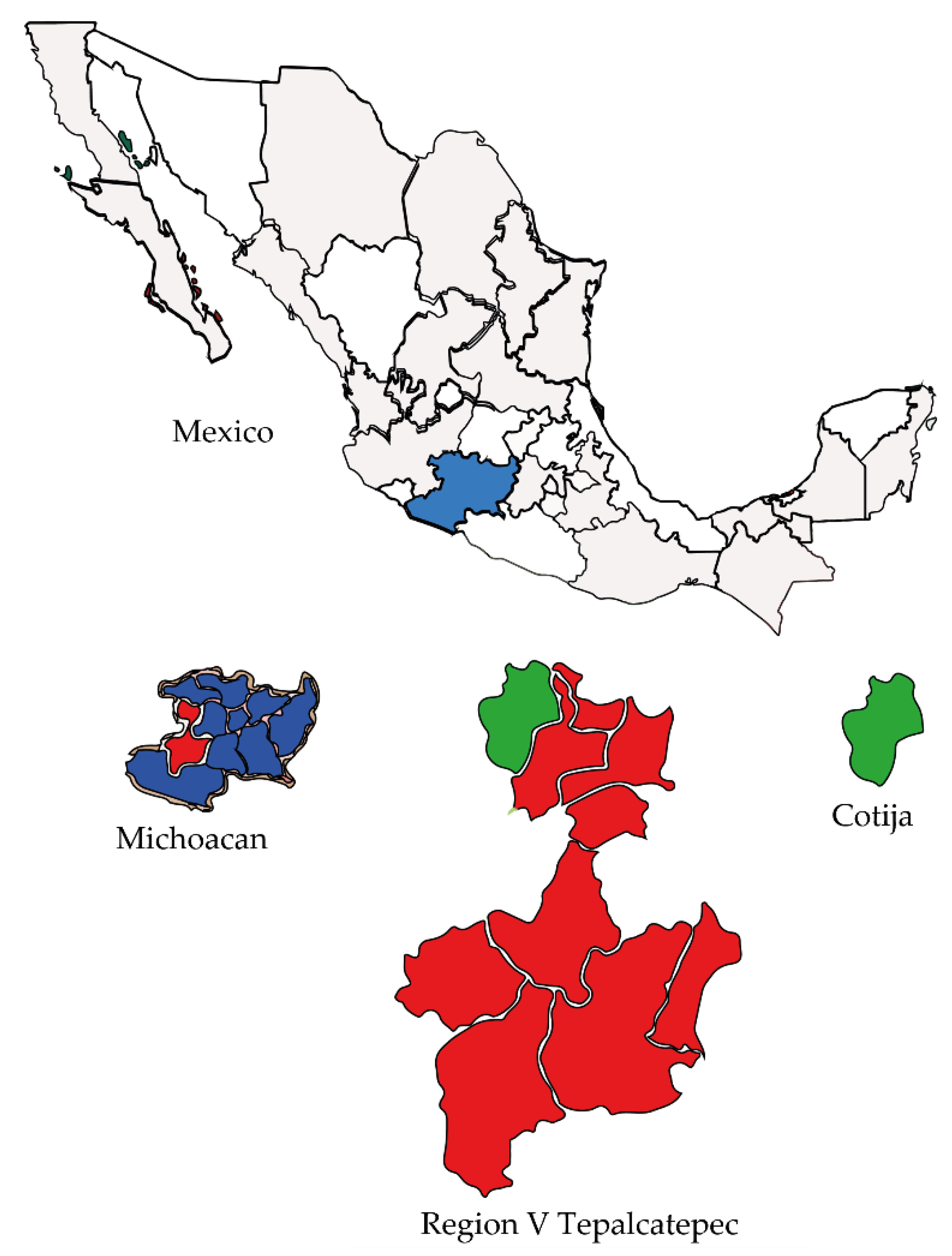 Applsci 11 08154 g003