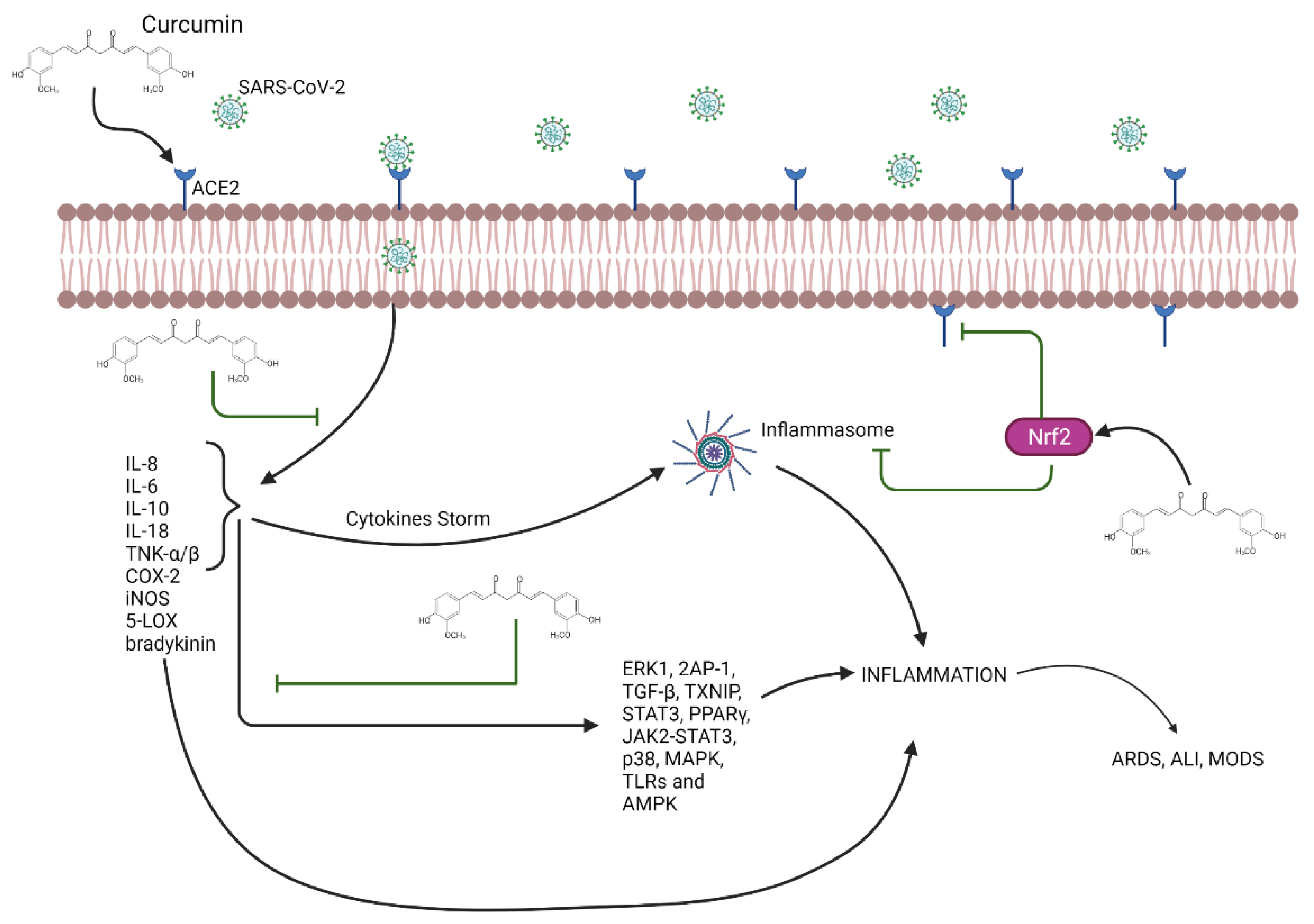 Applsci 11 08163 g002