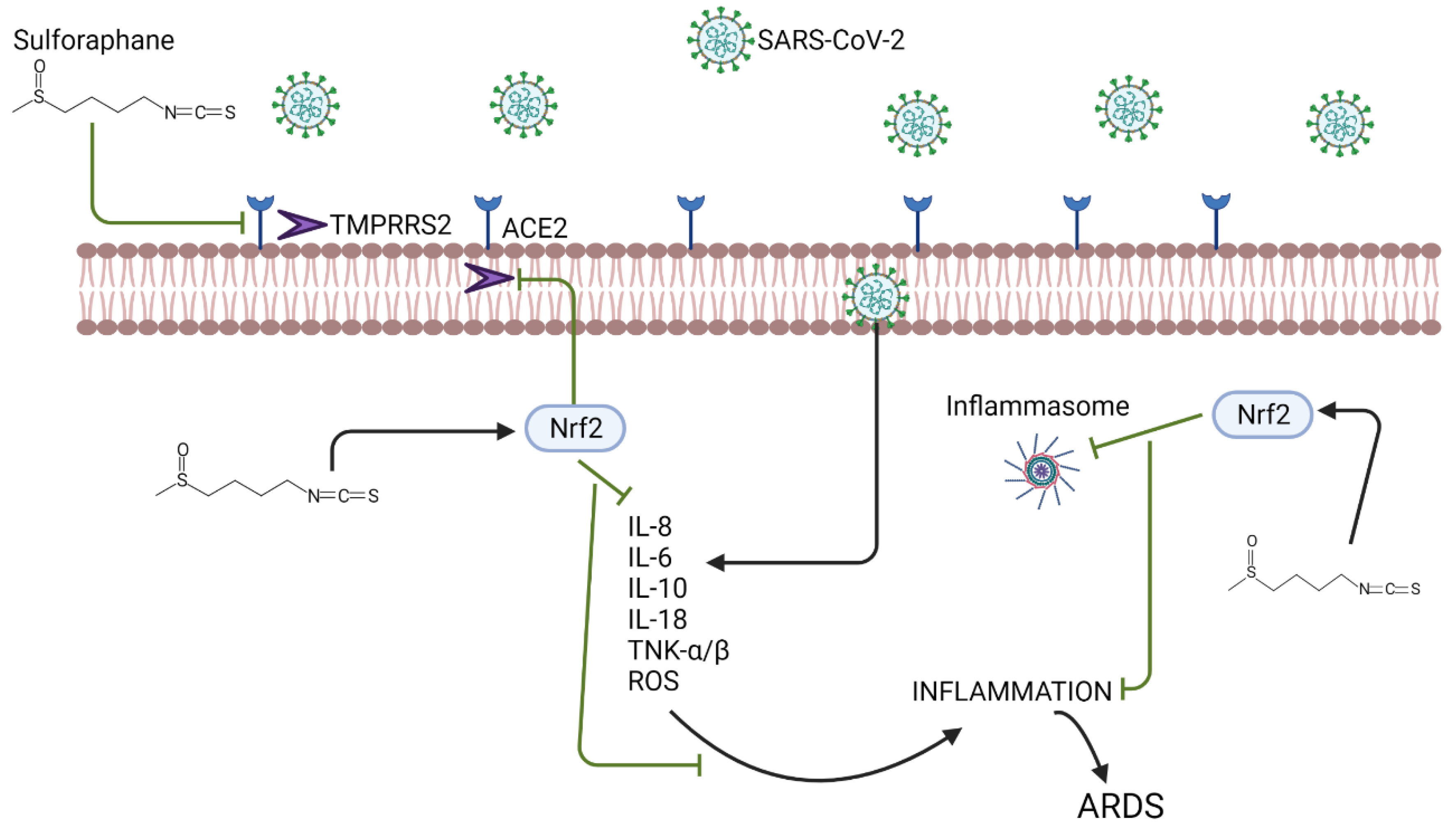Applsci 11 08163 g004