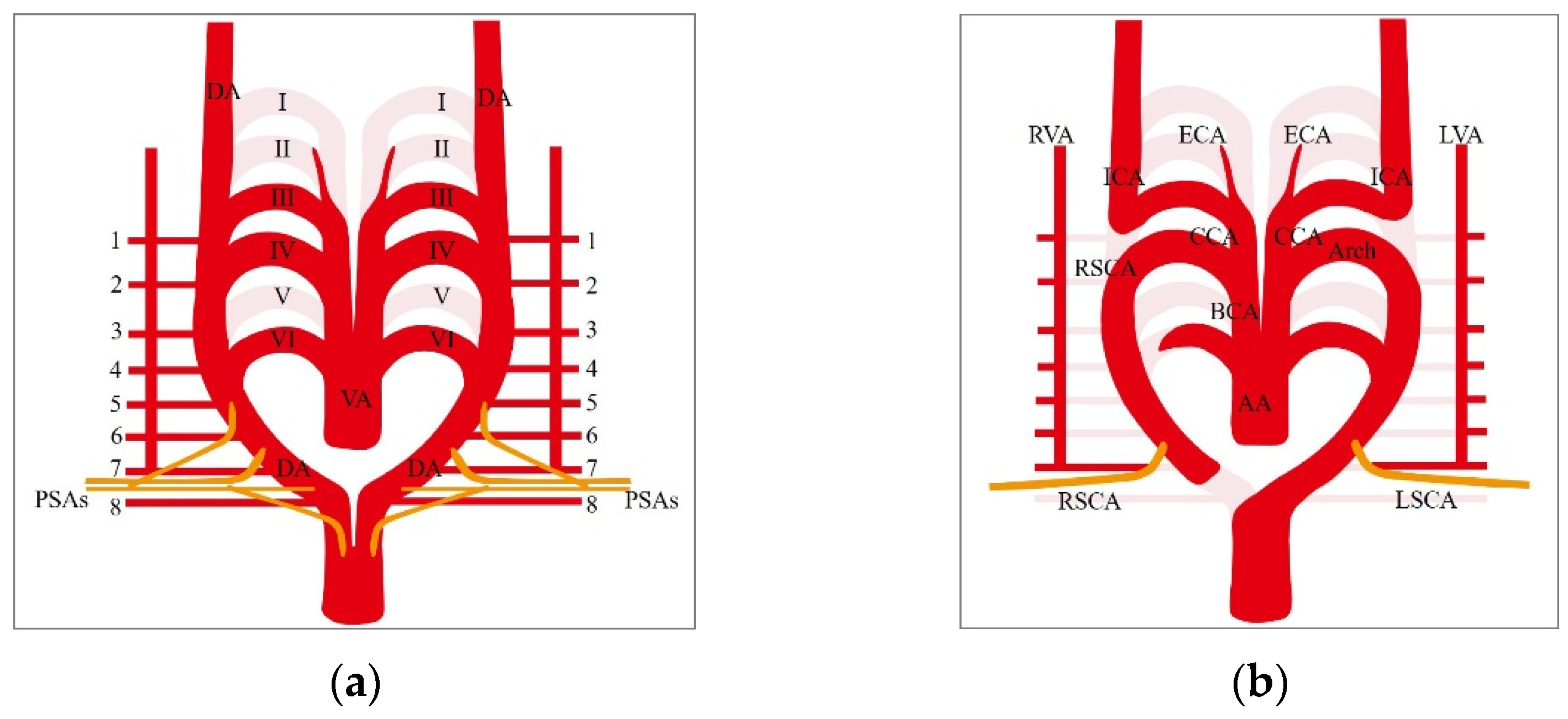 Applsci 11 08171 g001