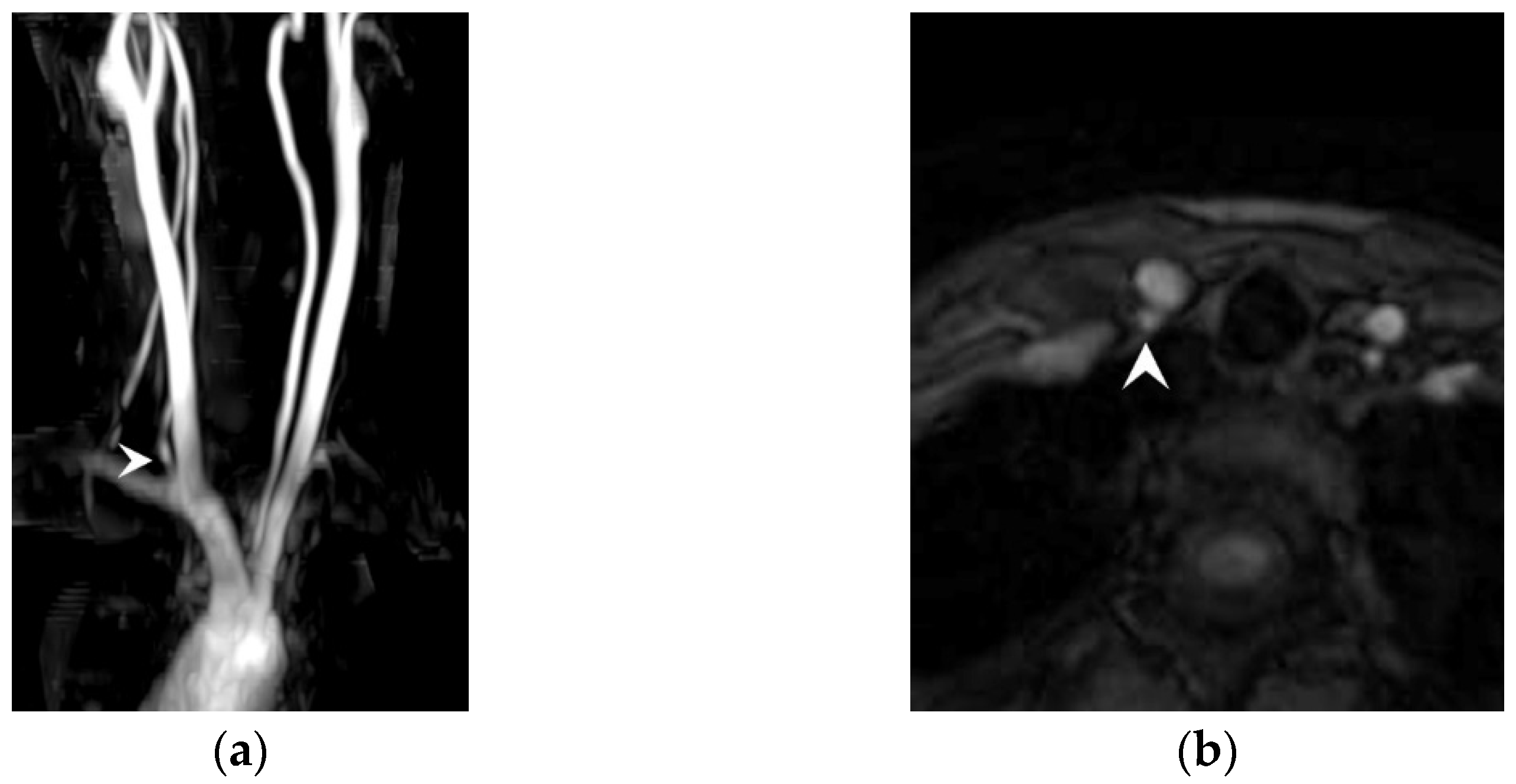 Applsci 11 08171 g008