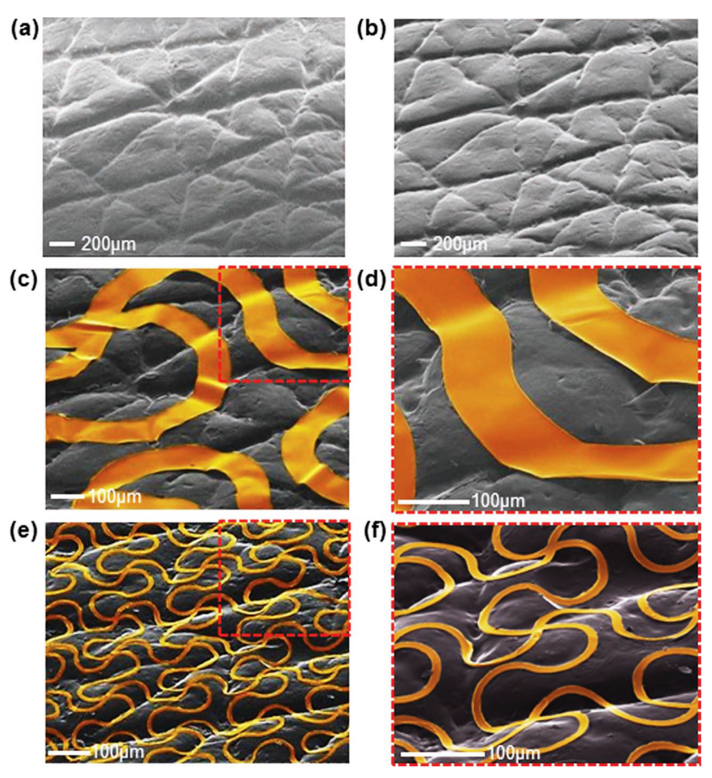 Applsci 11 08198 g004