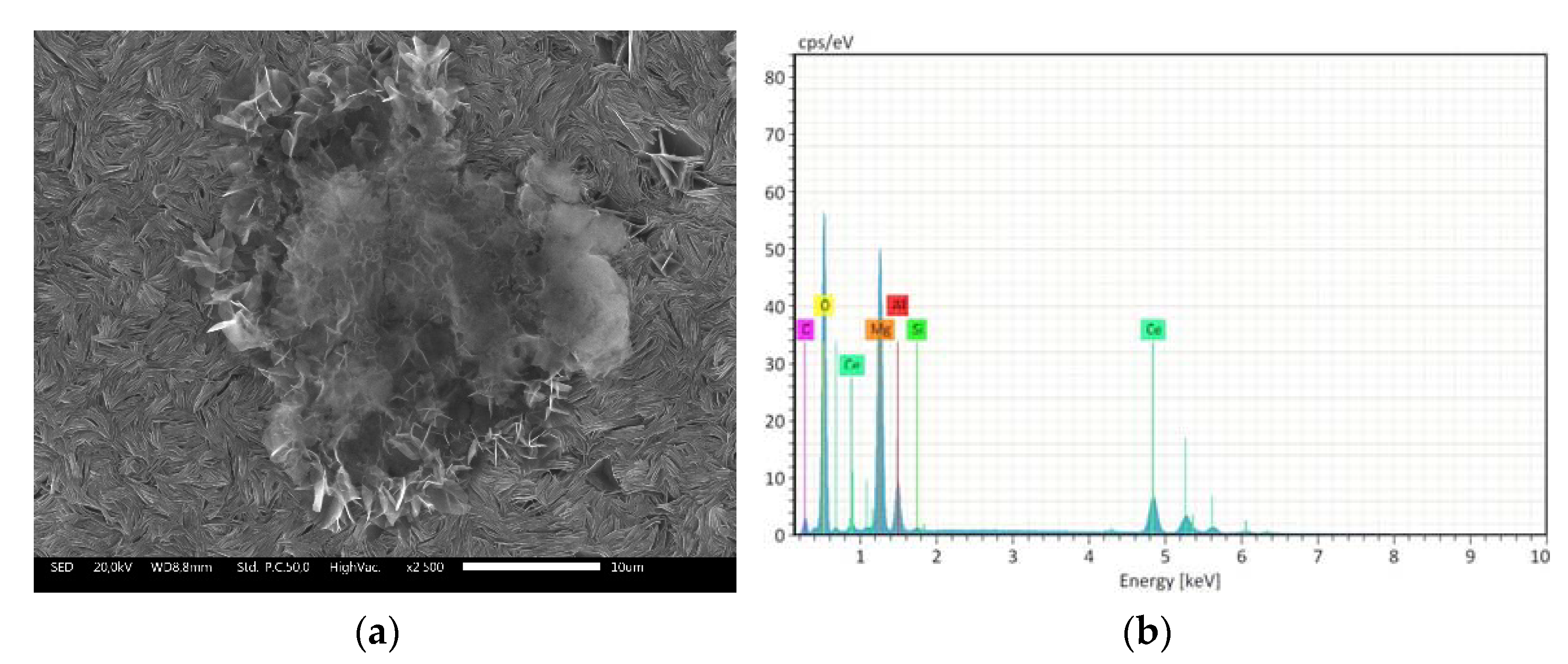 Applsci 11 08252 g007