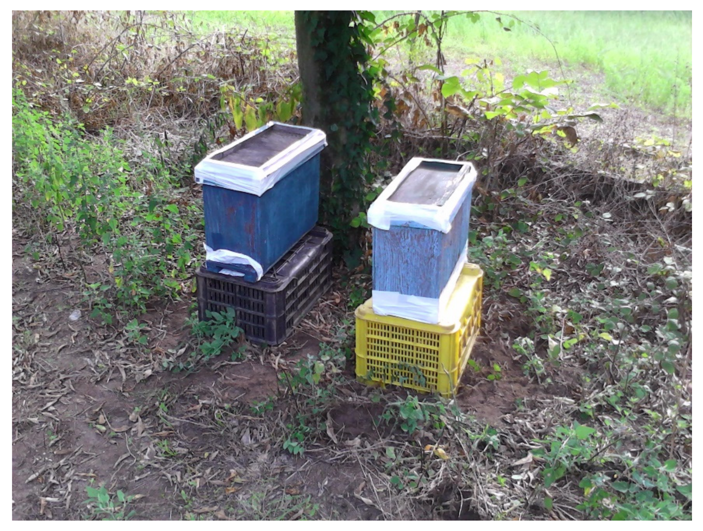 Applsci 11 08260 g002