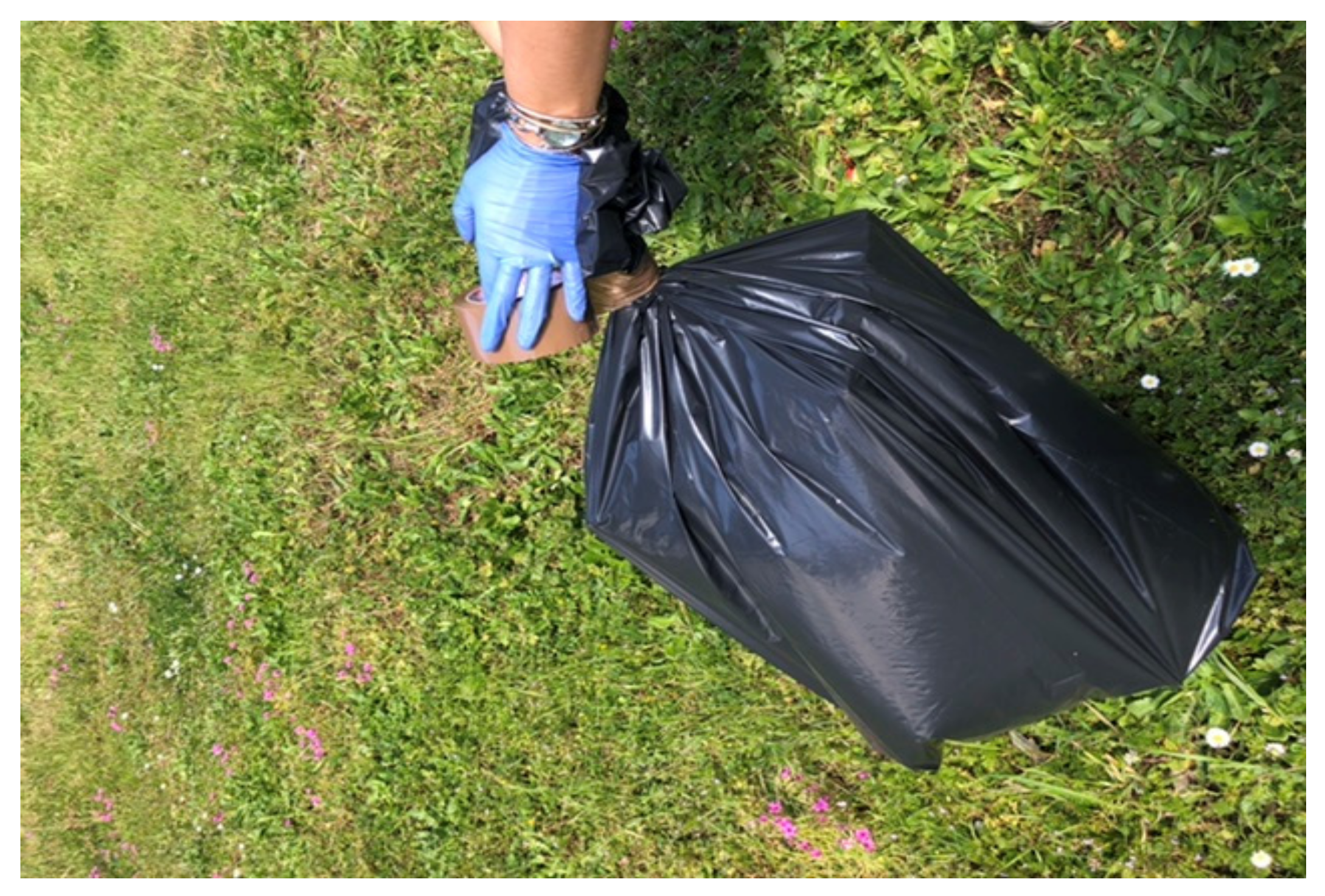 Applsci 11 08260 g005