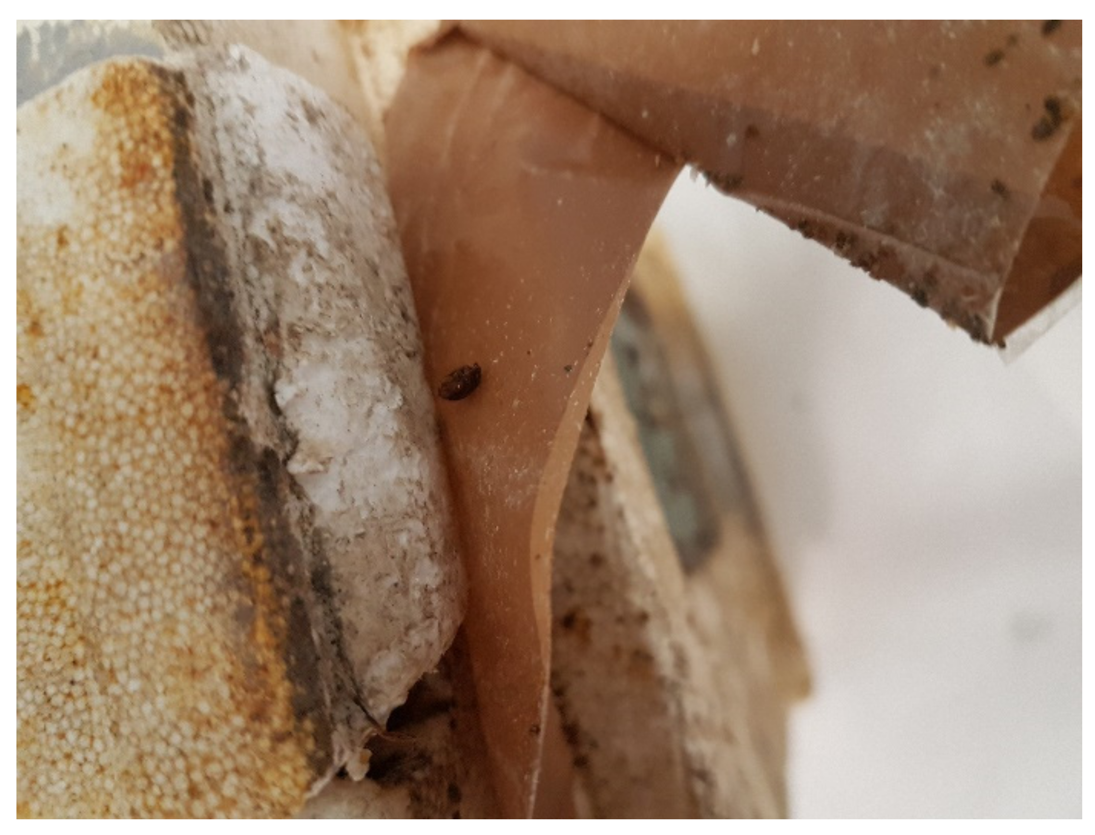 Applsci 11 08260 g006