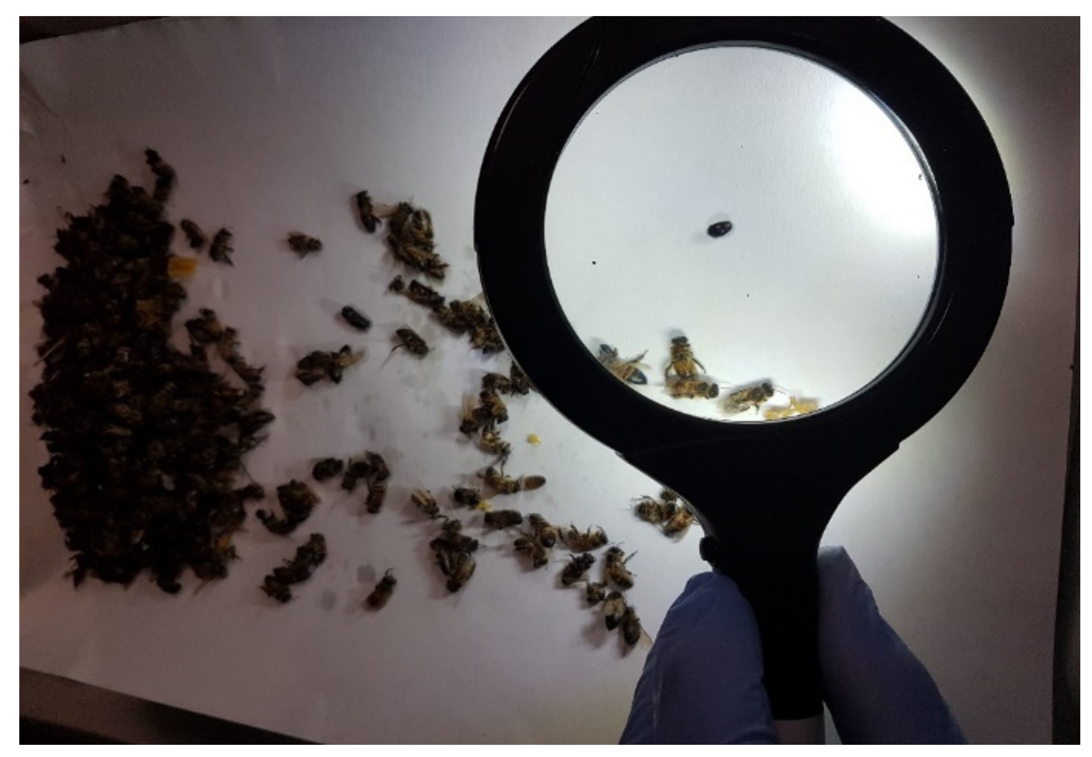 Applsci 11 08260 g008