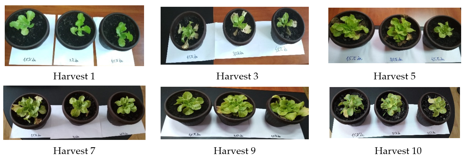 Applsci 11 08261 g002 Applsci 11 08261 g002