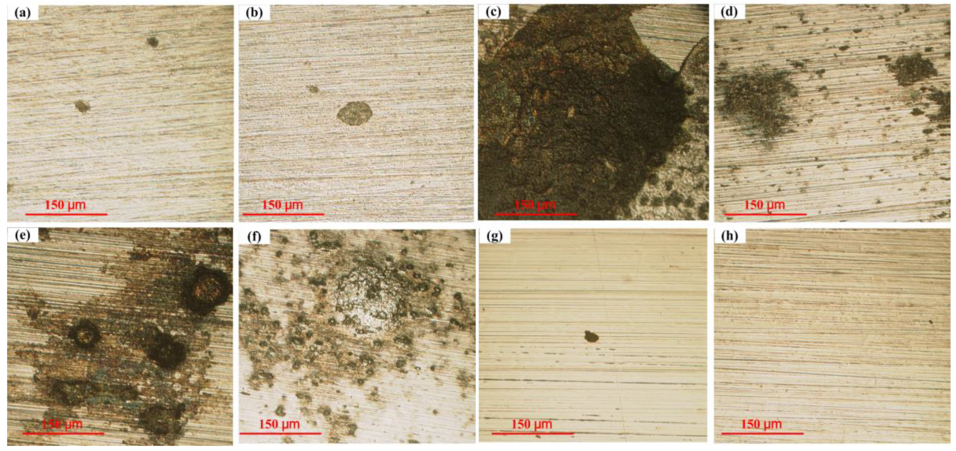 Applsci 11 08278 g006