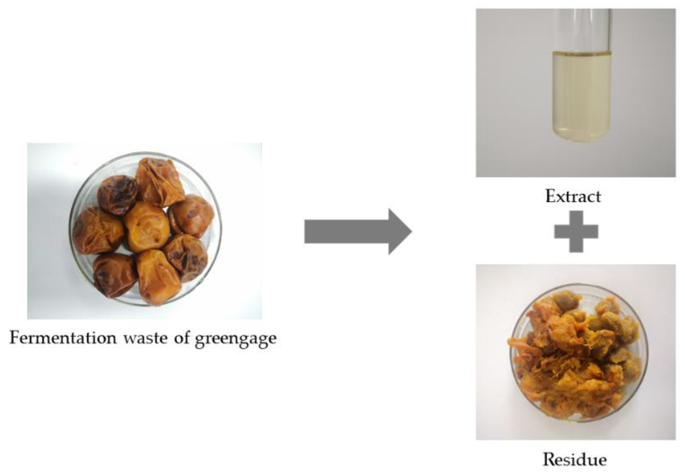 Applsci 11 08296 g001