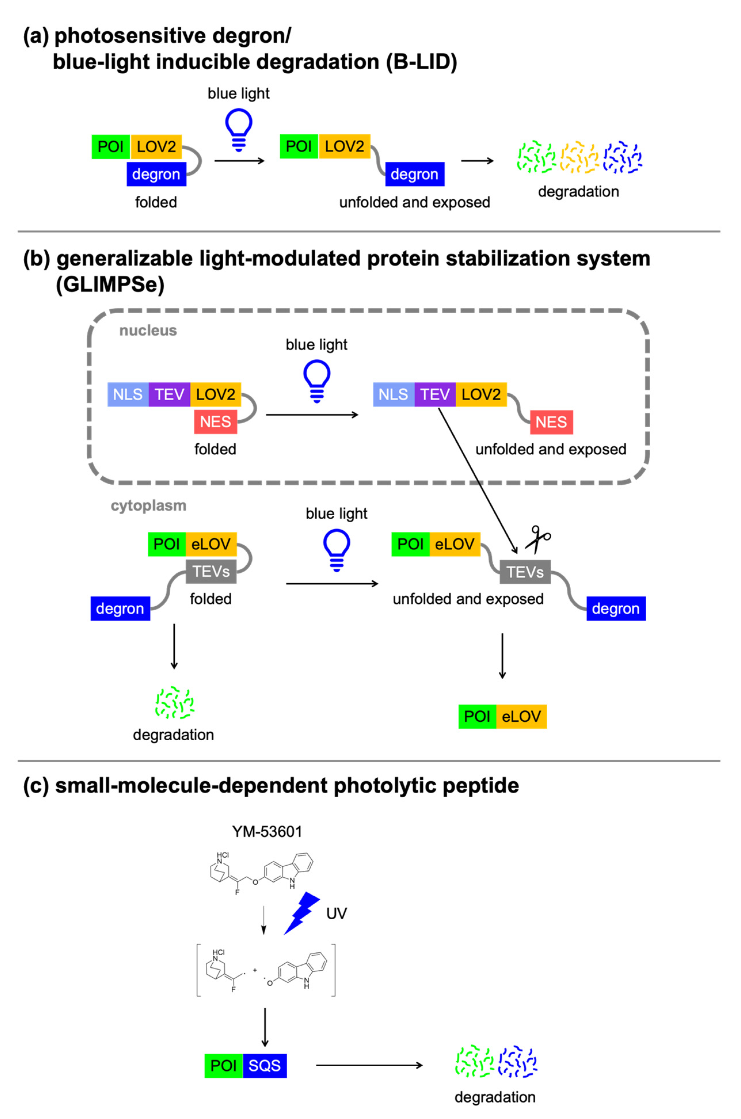 Applsci 11 08300 g004