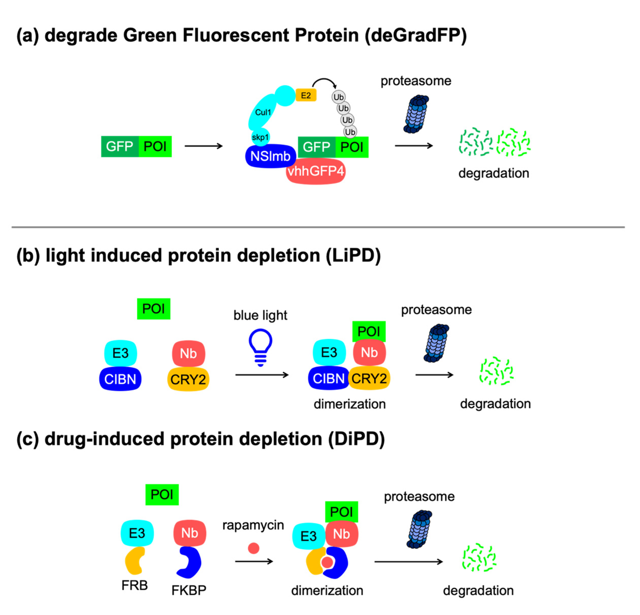 Applsci 11 08300 g005