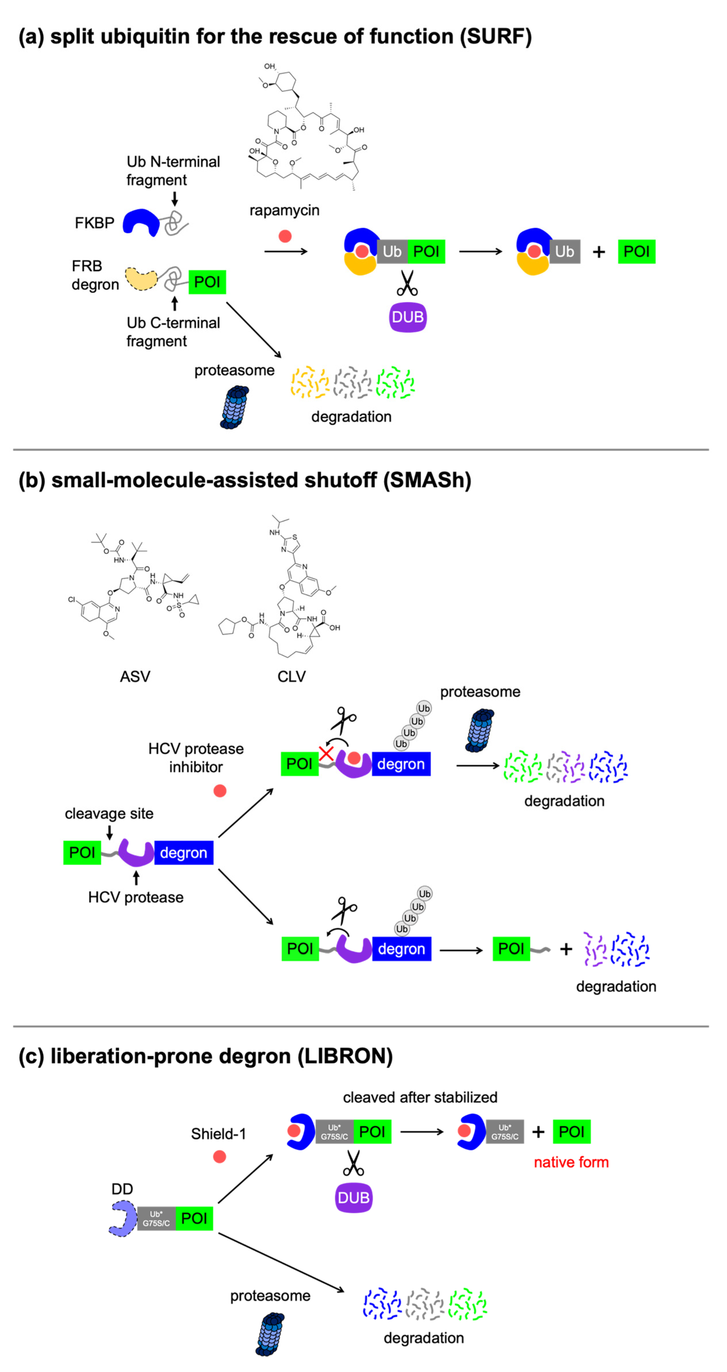 Applsci 11 08300 g006