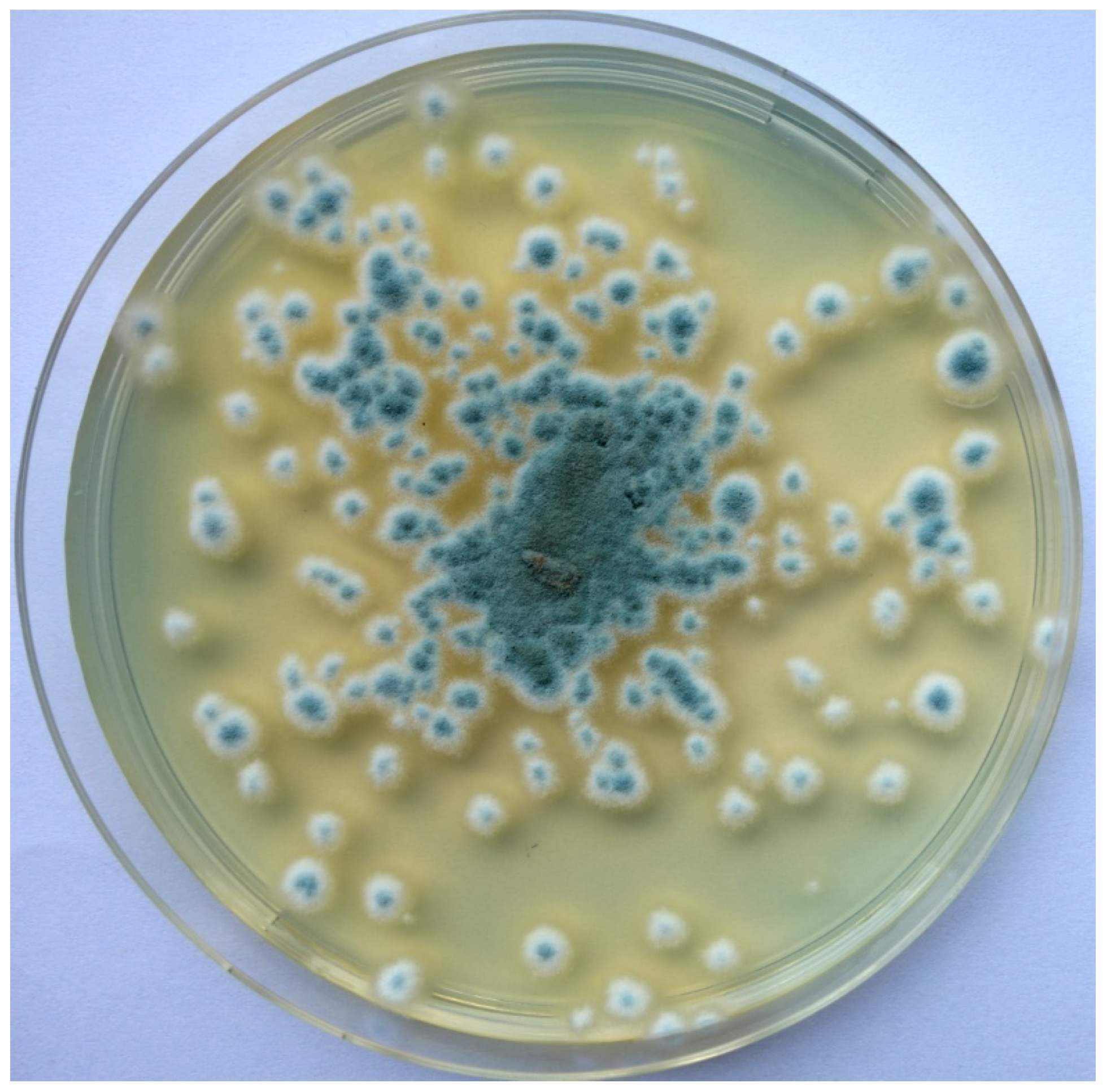 Applsci 11 08320 g001 Applsci 11 08320 g001