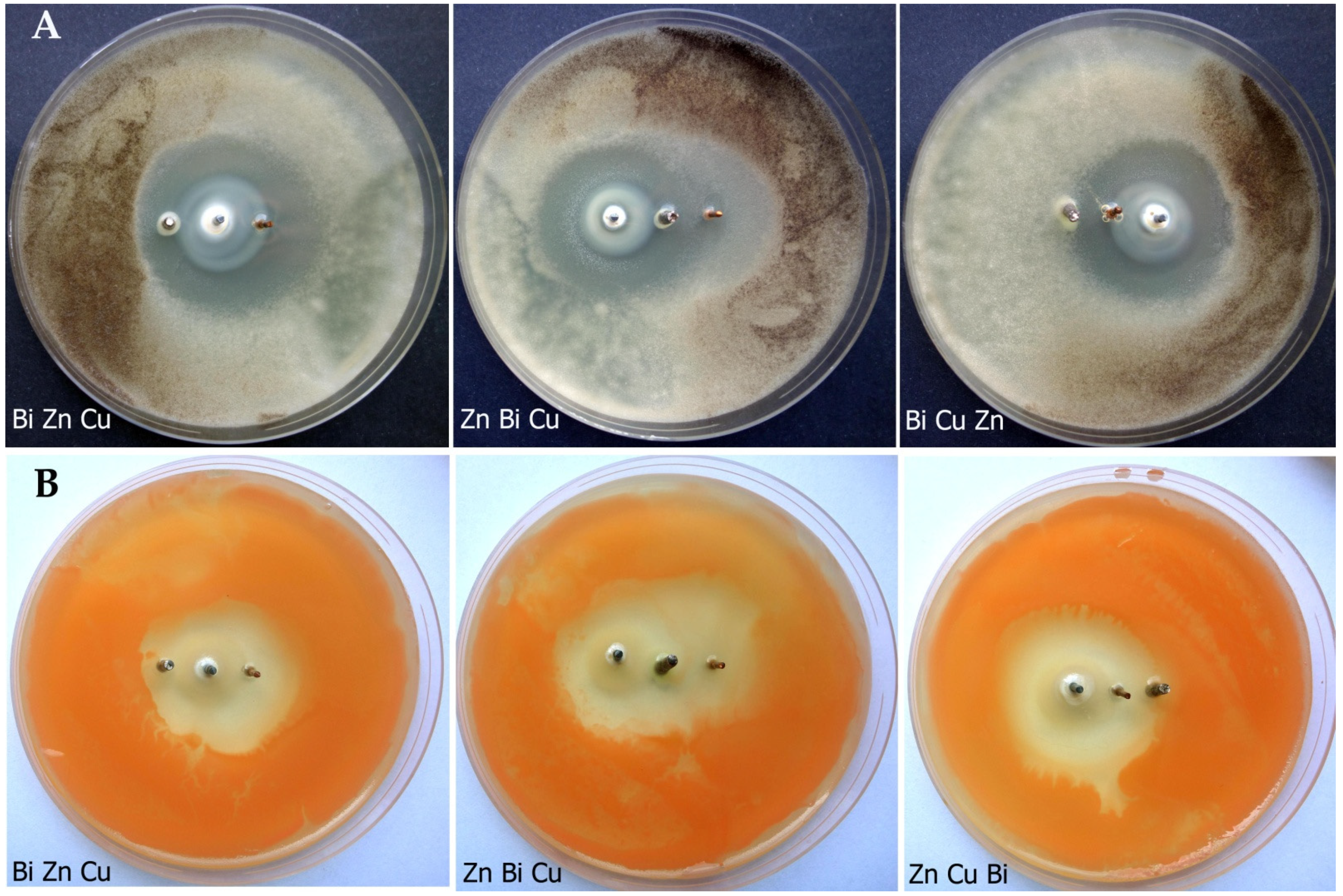 Applsci 11 08320 g006 Applsci 11 08320 g006