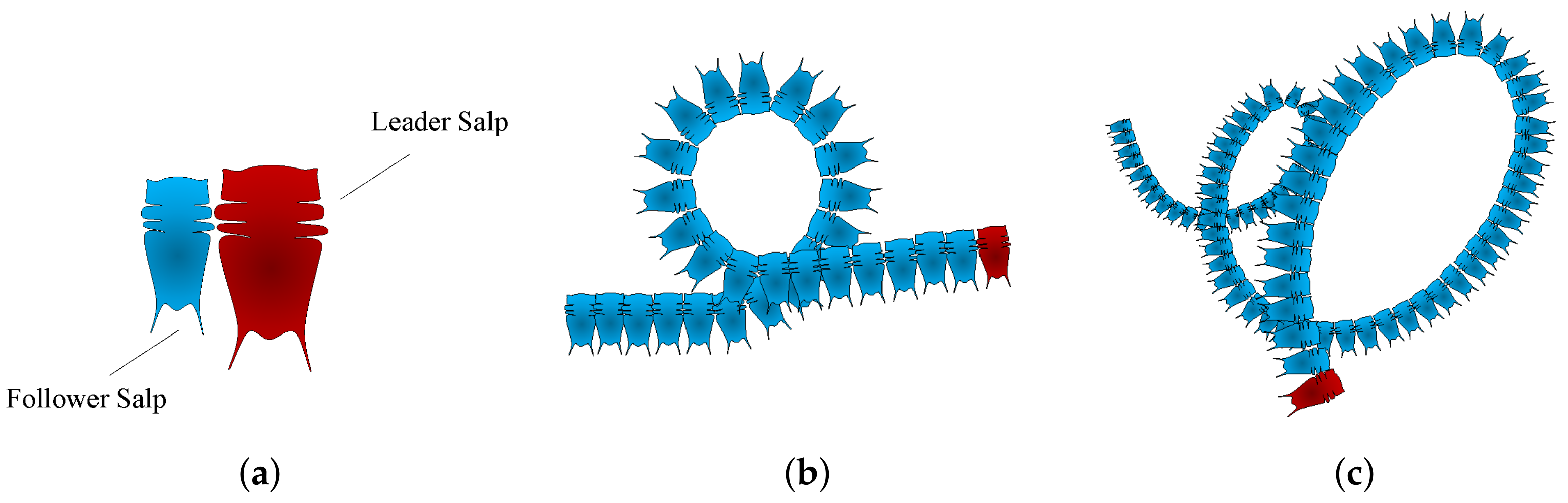 Applsci 11 08330 g004