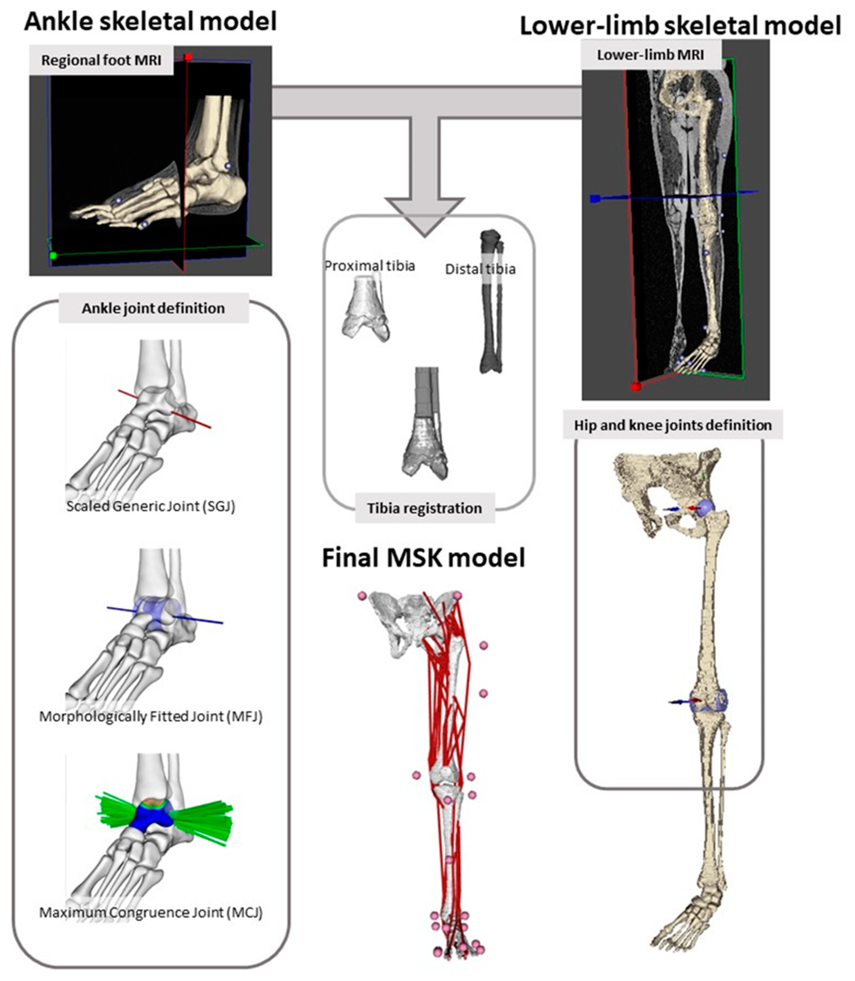 Applsci 11 08348 g001