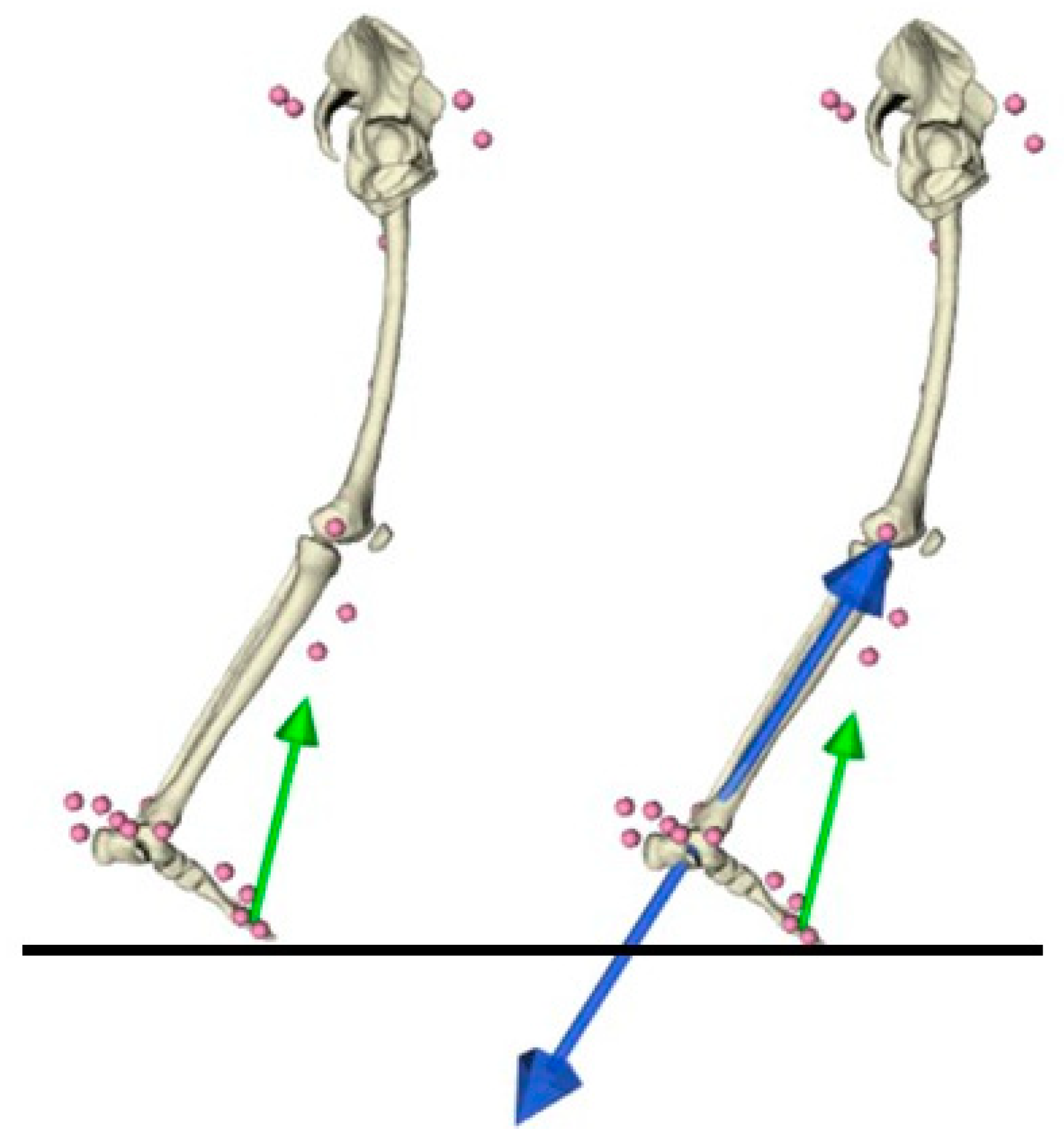 Applsci 11 08348 g002