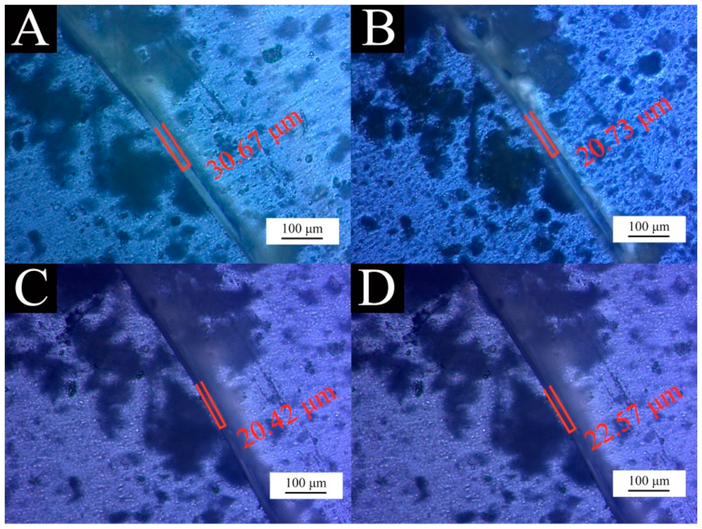 Applsci 11 08373 g017