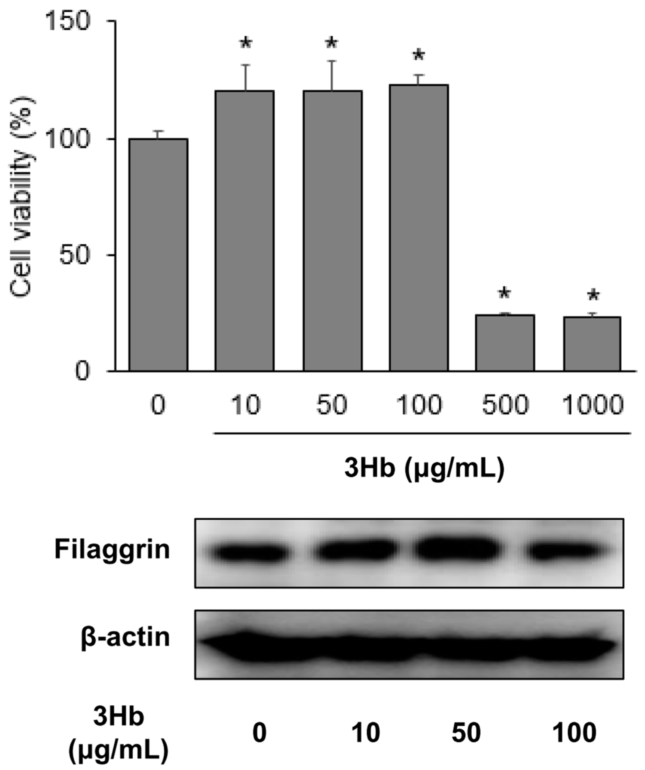 Applsci 11 08380 g002