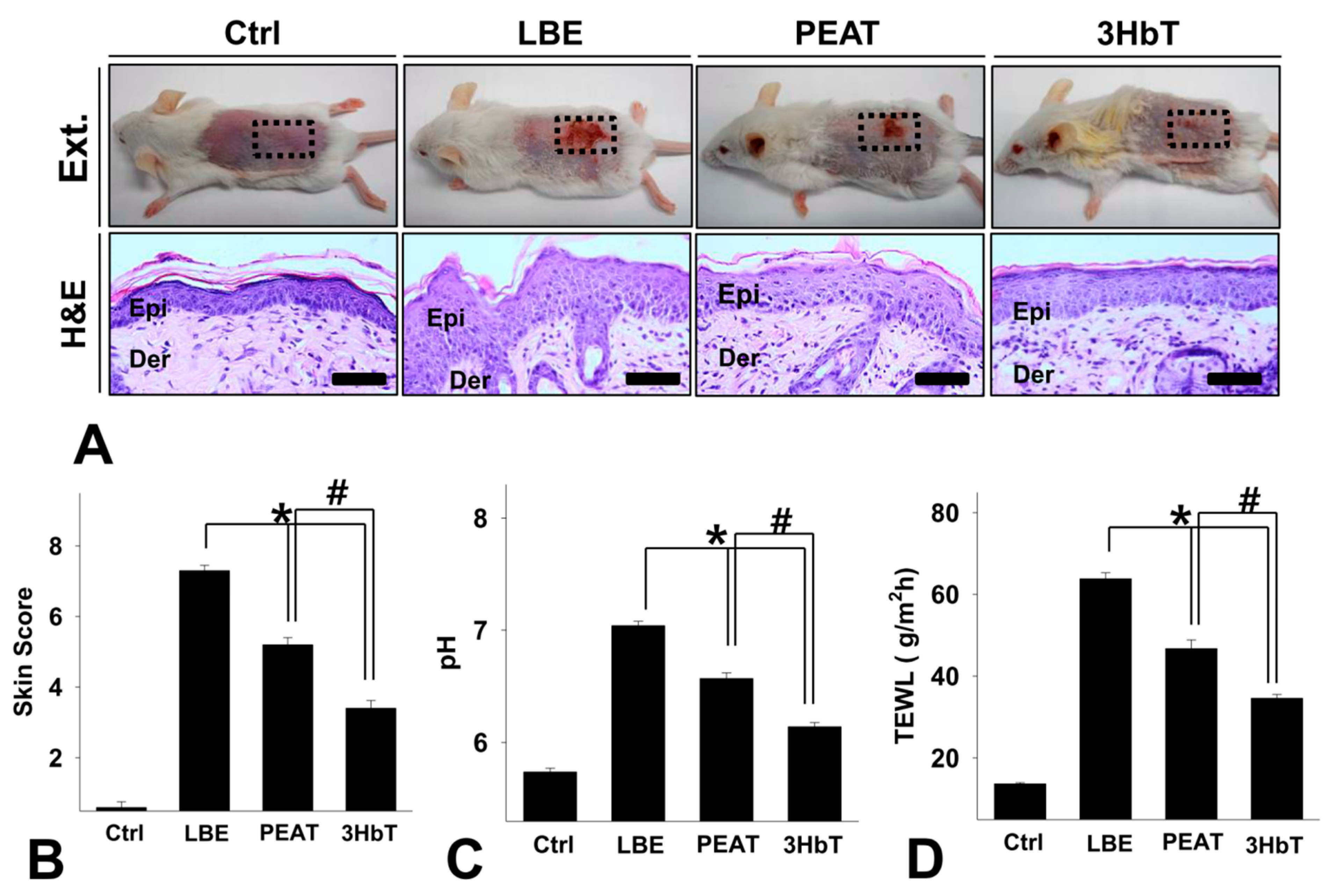 Applsci 11 08380 g003